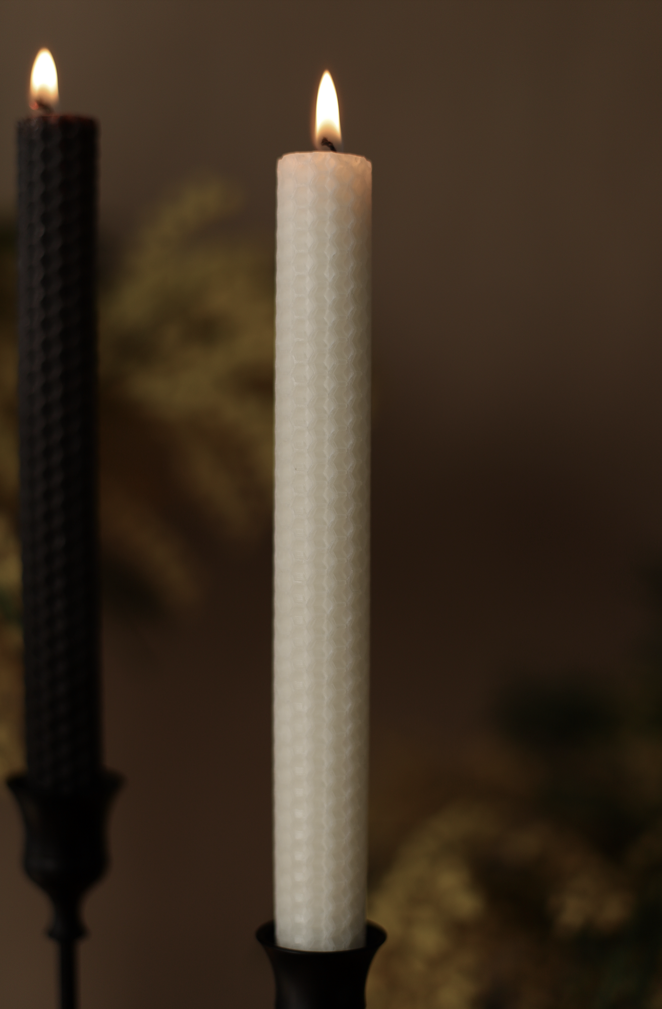 Screenshot 2023-08-20 at 4.11.24 pm.png