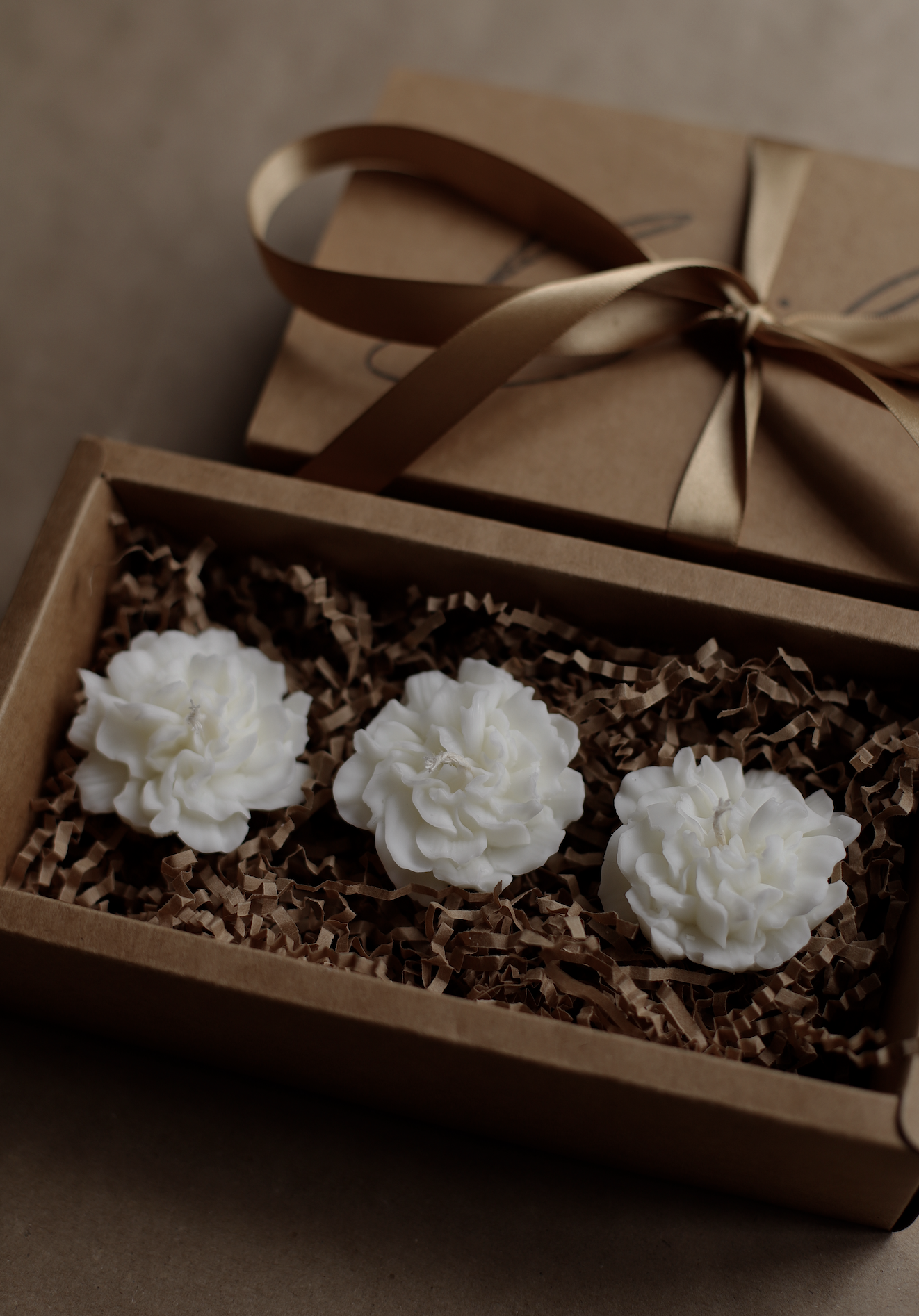 Screenshot 2024-01-17 at 1.19.29 pm.png