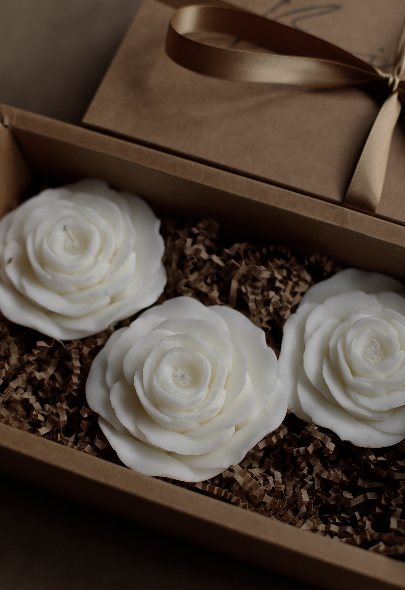 Screenshot 2024-01-17 at 1.18.48 pm.png