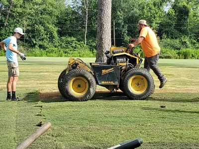 GREEN TEE PROJECT