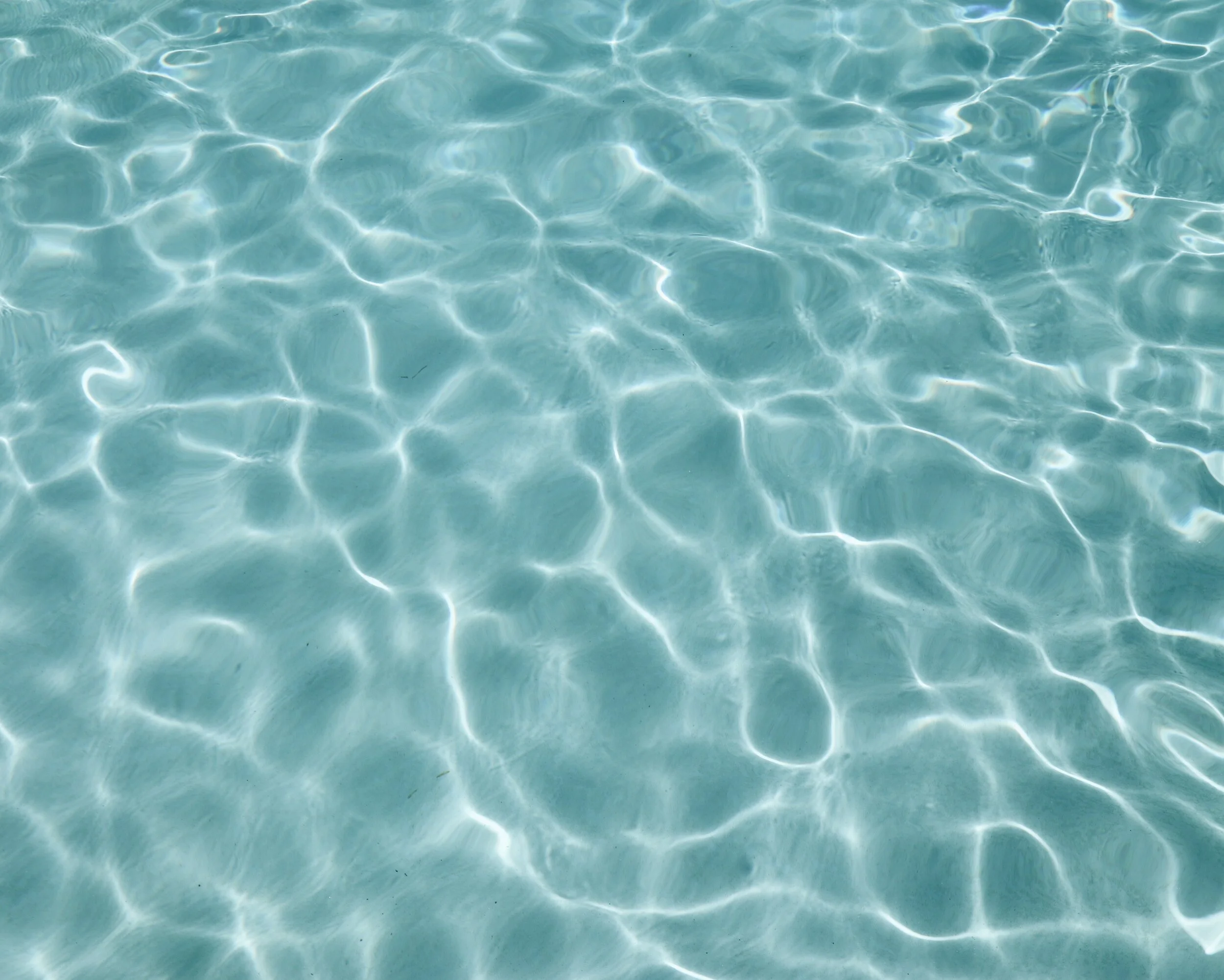 NEWS FROM THE POOL