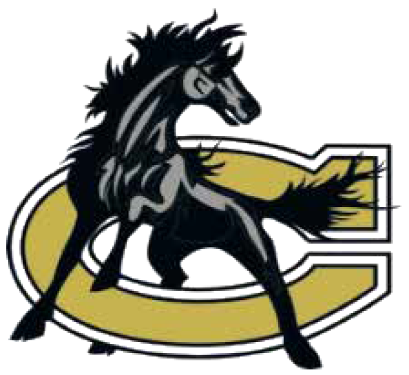 CHS BASEBALL FUNDRAISER GOLF TOURNAMENT 