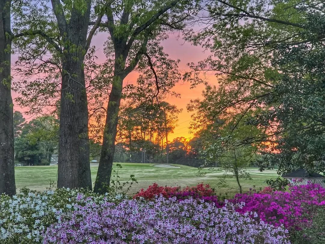 Special Pictue from Gloria Edwards