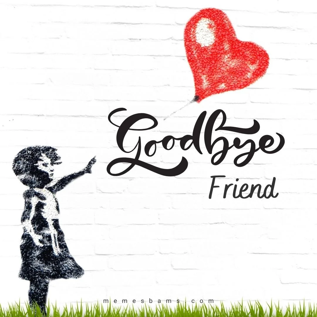 Goodbye to a Friend