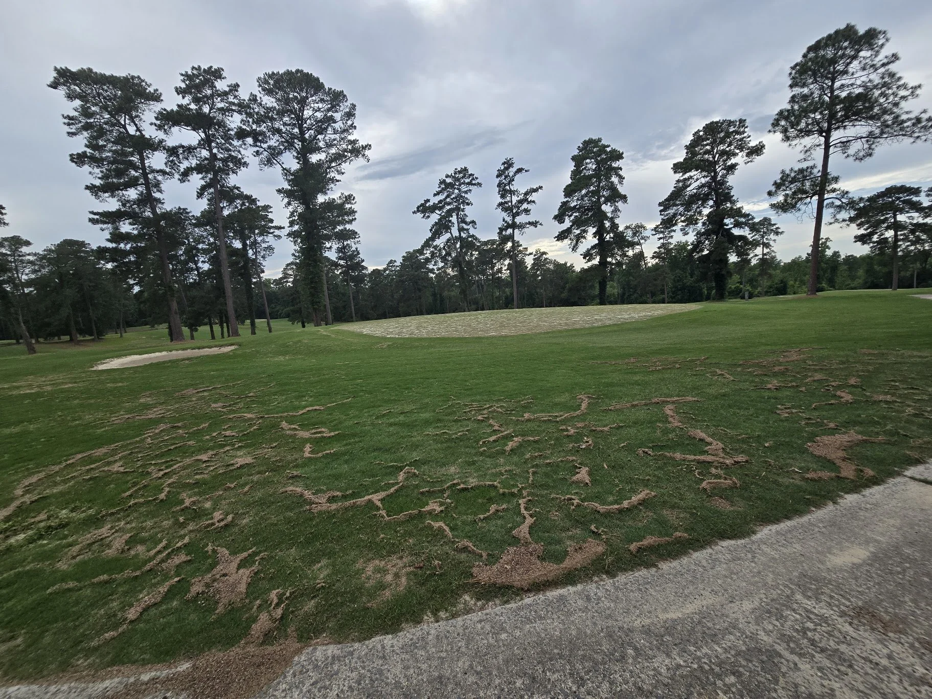 #15