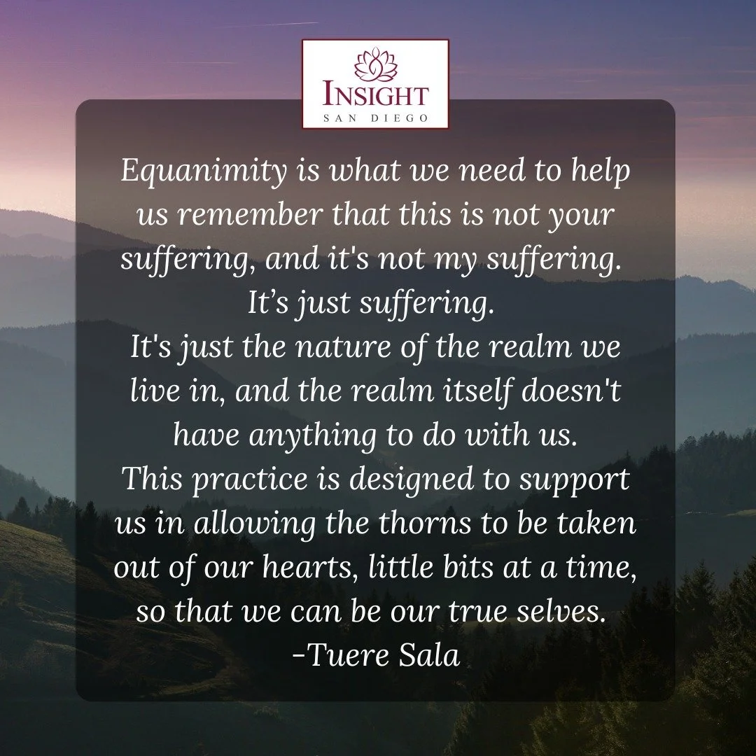 Insight San Diego hosts a number of meditation and study groups. These groups are peer-led, and they are facilitated and organized by laypersons. We welcome new and experienced participants from diverse backgrounds. Our intention is to cultivate mind