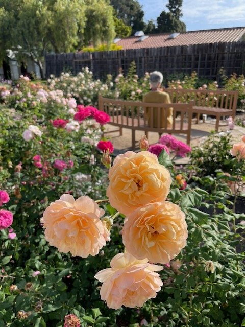 Mathew Brensilver retreat  Apr 2026