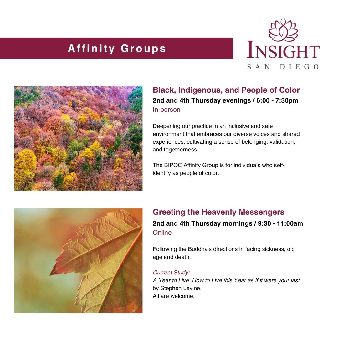We provide opportunities for meditation and learning the dharma through Vipassana style meditation. We welcome new and experienced participants from diverse backgrounds. Our intention is to cultivate mindfulness, wisdom, and compassion for the benefi