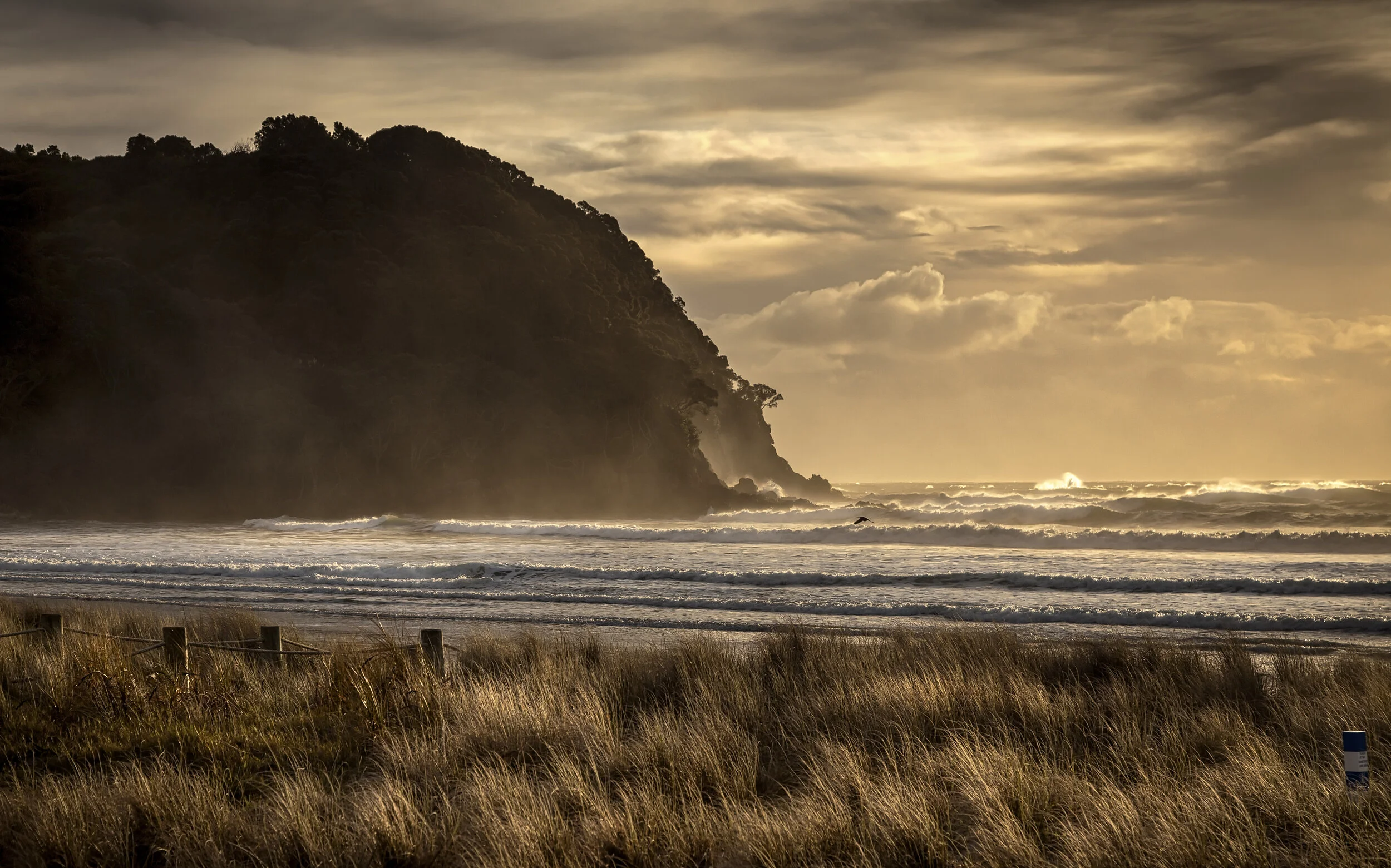 Waihi Beach.jpg
