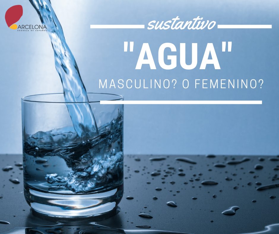 Danh từ “Agua” trong tiếng Tây Ban Nha thực sự mang giống gì?