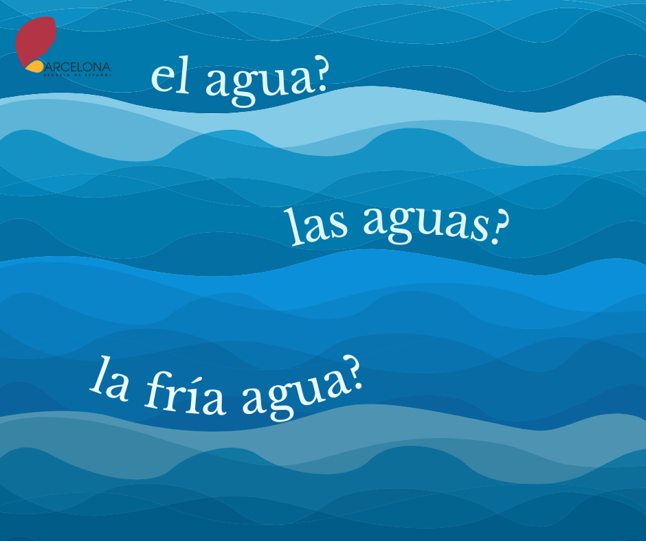 Tuy bản thân “Agua” là giống cái nhưng riêng trường hợp số ít lại đi với mạo từ “El”
