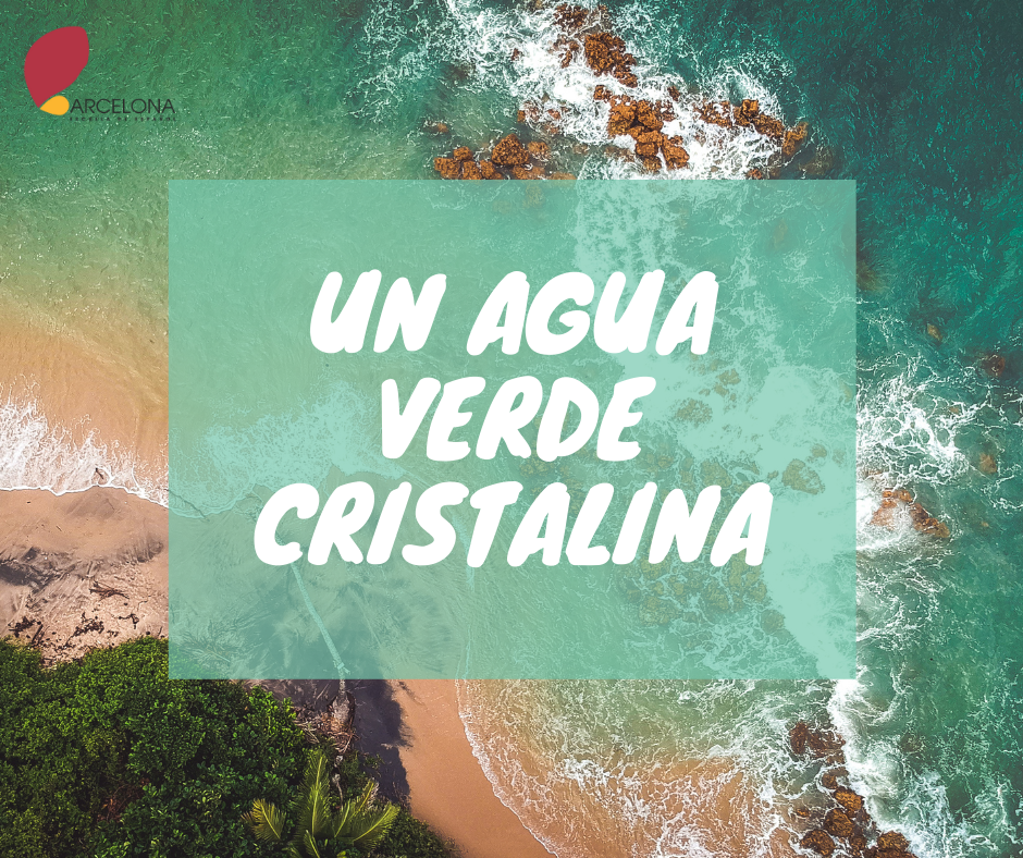 Agua 3.png