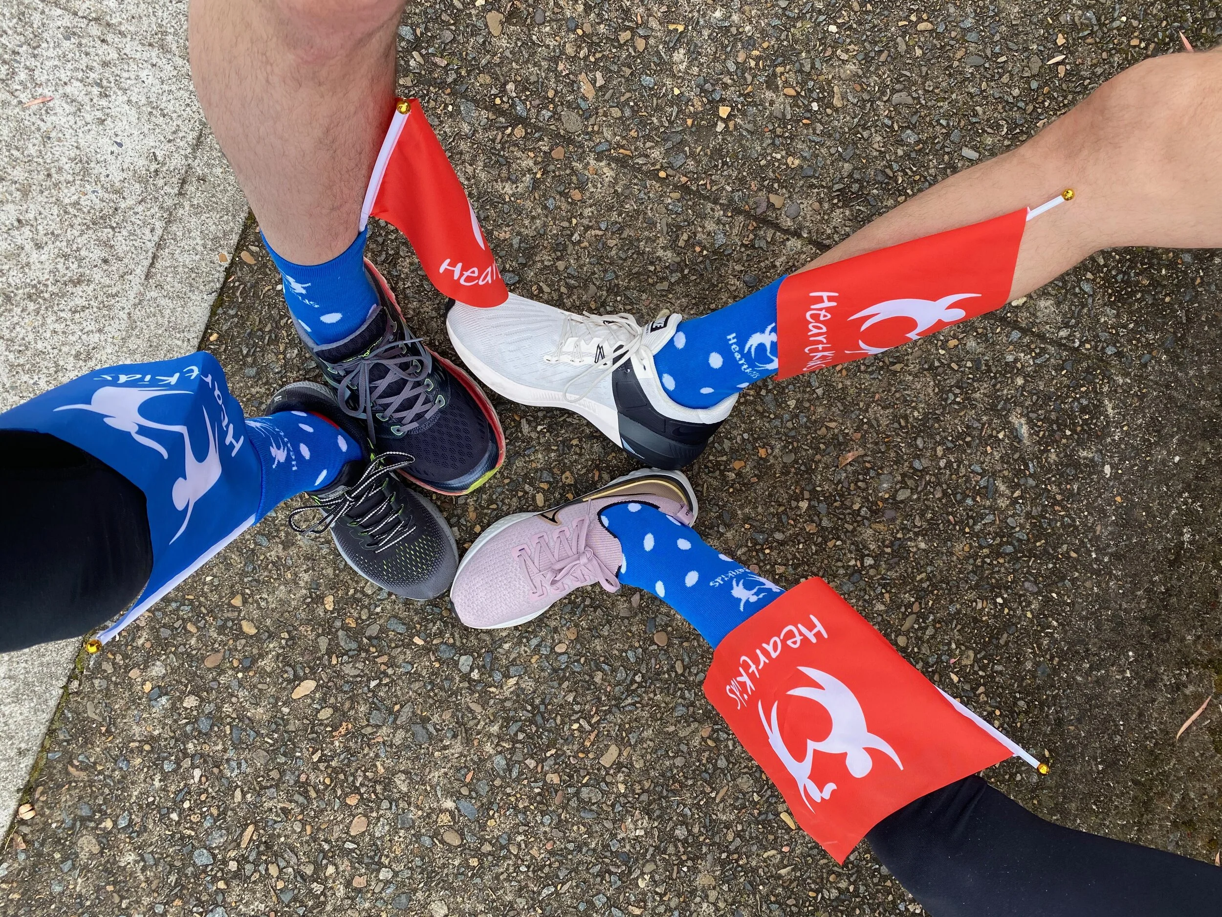 Two Feet & A Heartbeat Virtual Walk ~ HeartKids Fundraiser