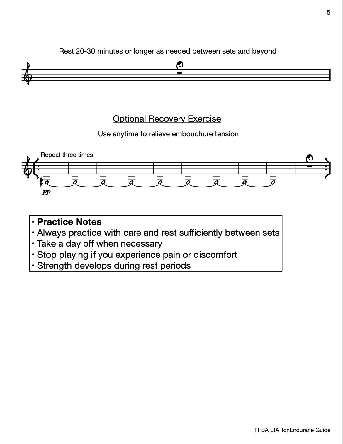 TonEndurance Guide 5.png