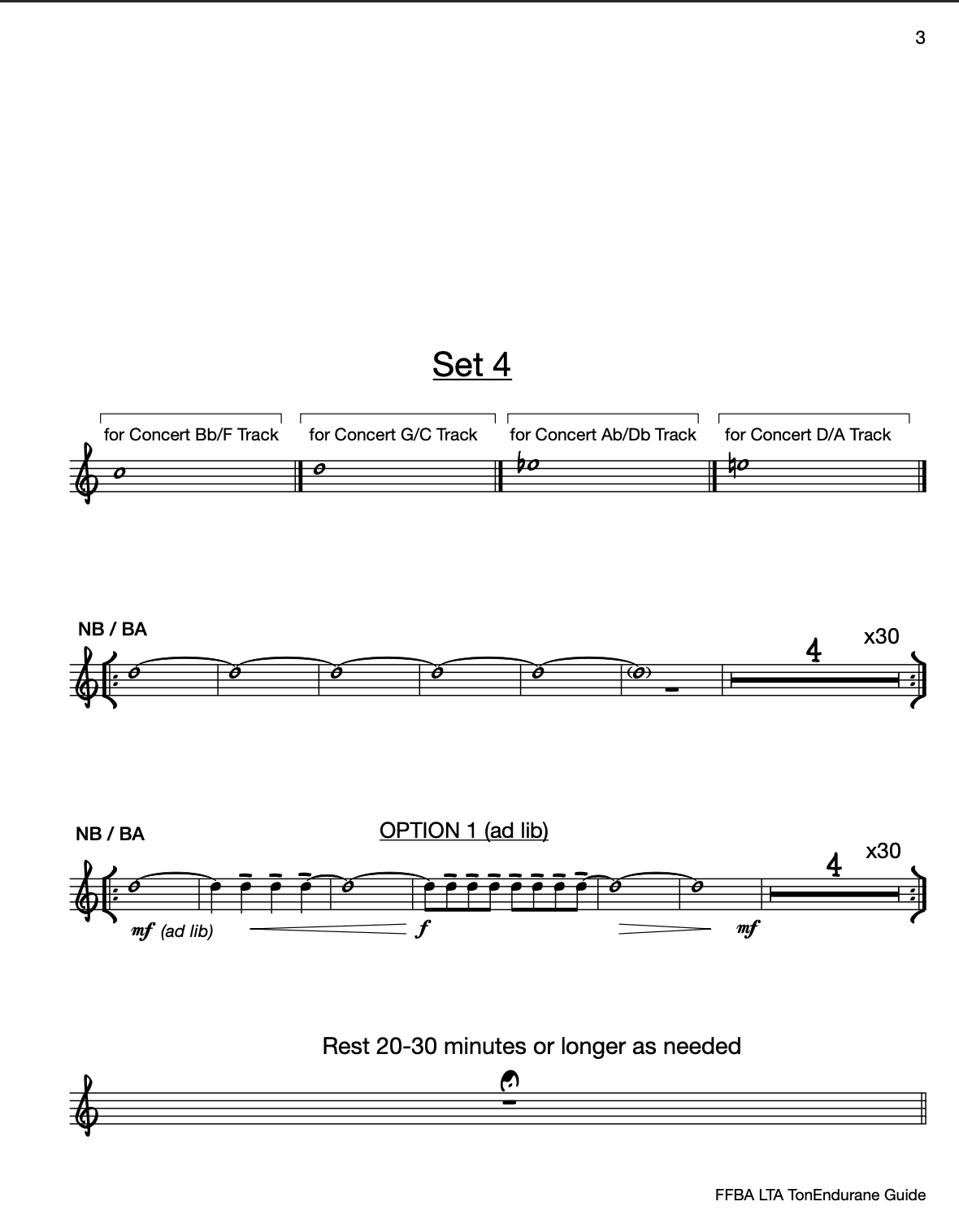 TonEndurance Guide 3.png
