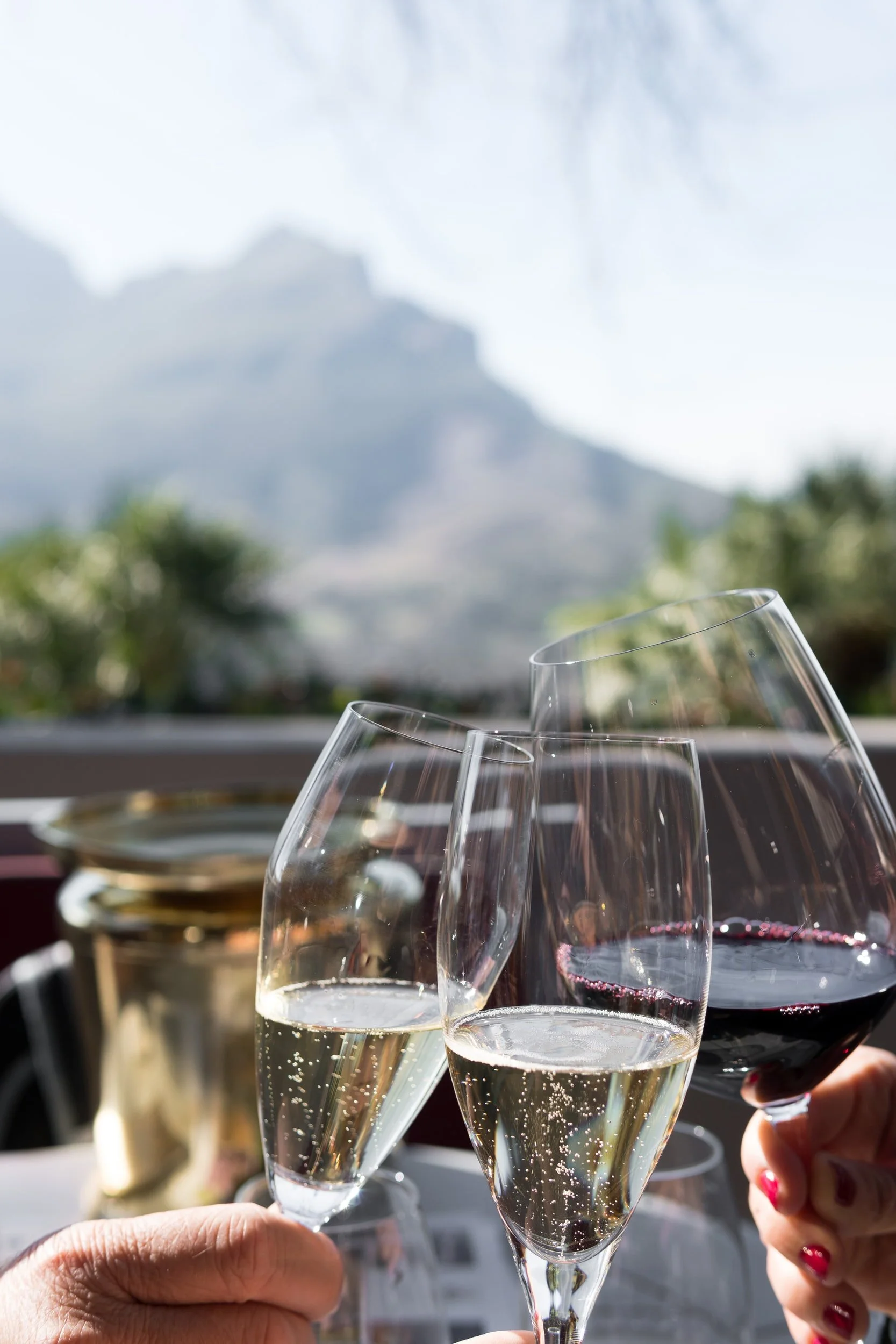 sparkling wine tasting Marlborough