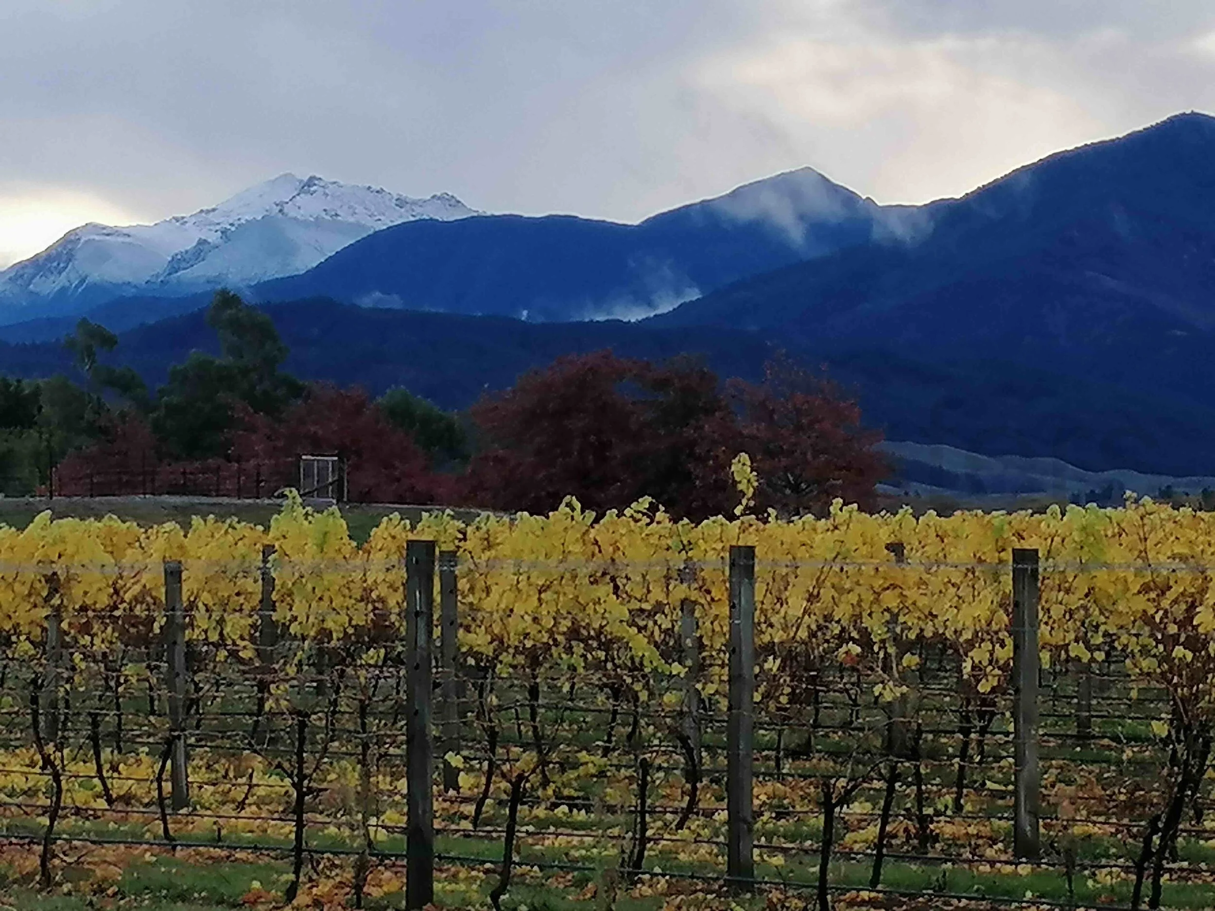 Stunning Marlborough vista in autumn with snow on the Richmond Ranges