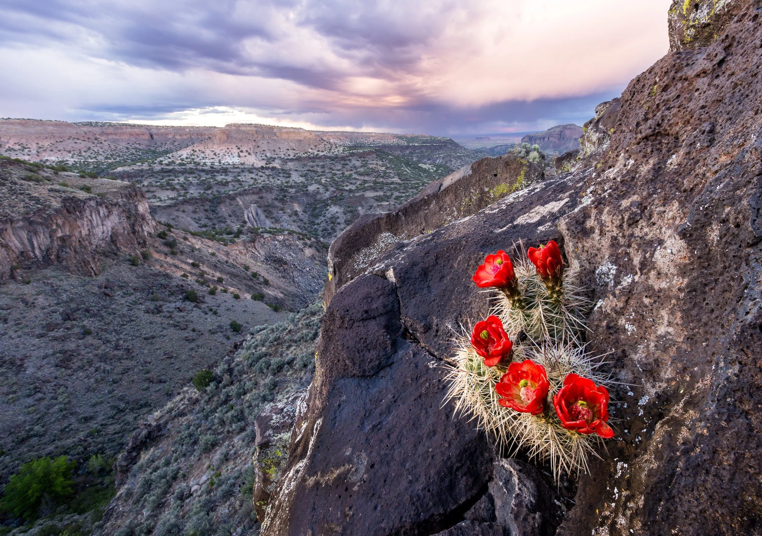 CSELBY_Living on the edge-.jpg