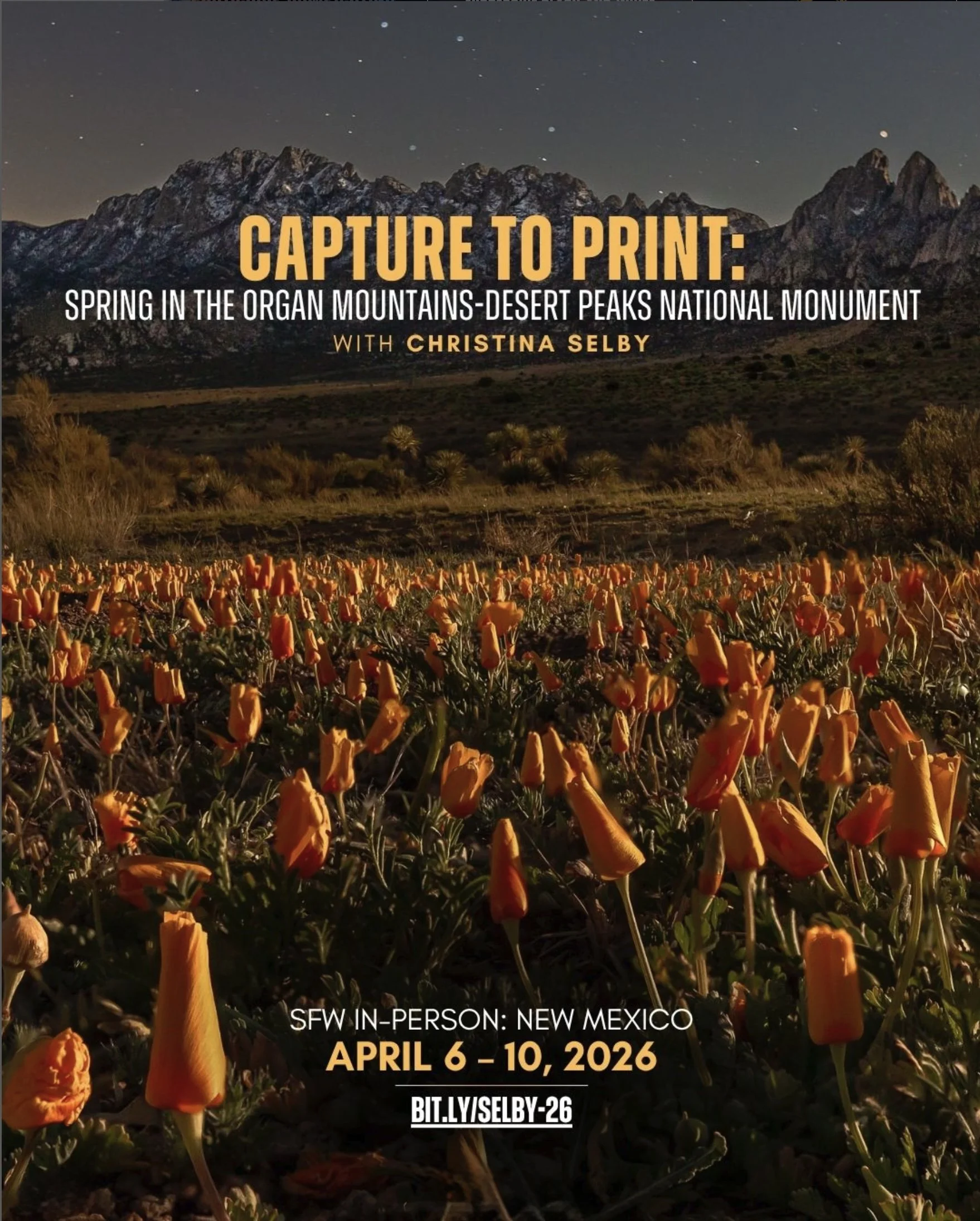 editorial photography photographer article