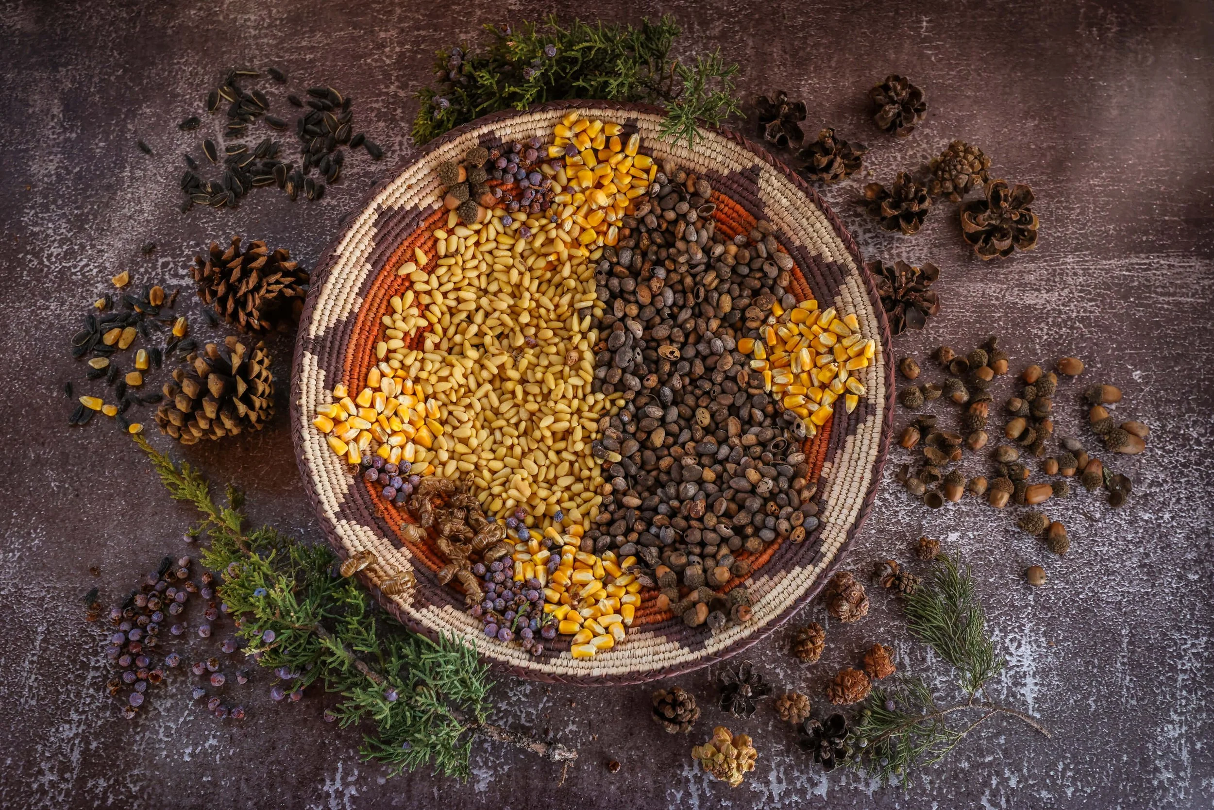 11 Pinon Country Exhibit_Pinyon Jay diet _CSELBY.jpg