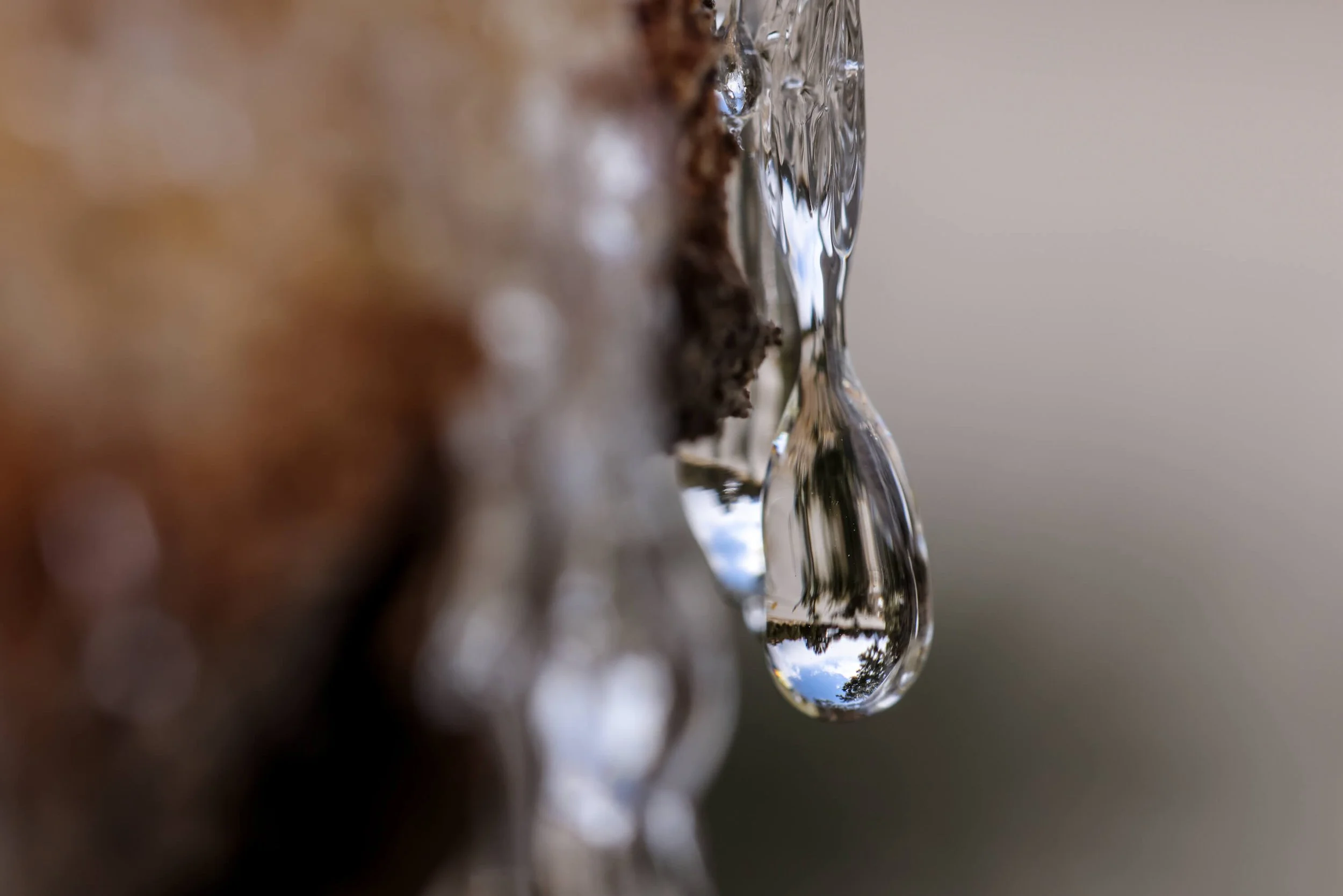 Pinon Country Exhibit_pattern collage_CSELBY-2.jpg