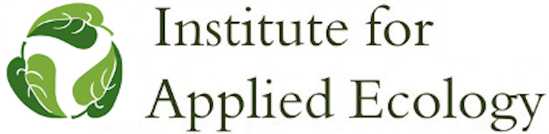 IAE_logo2.png