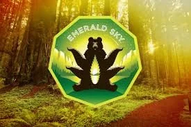 NNewsletter 8/10-8/17