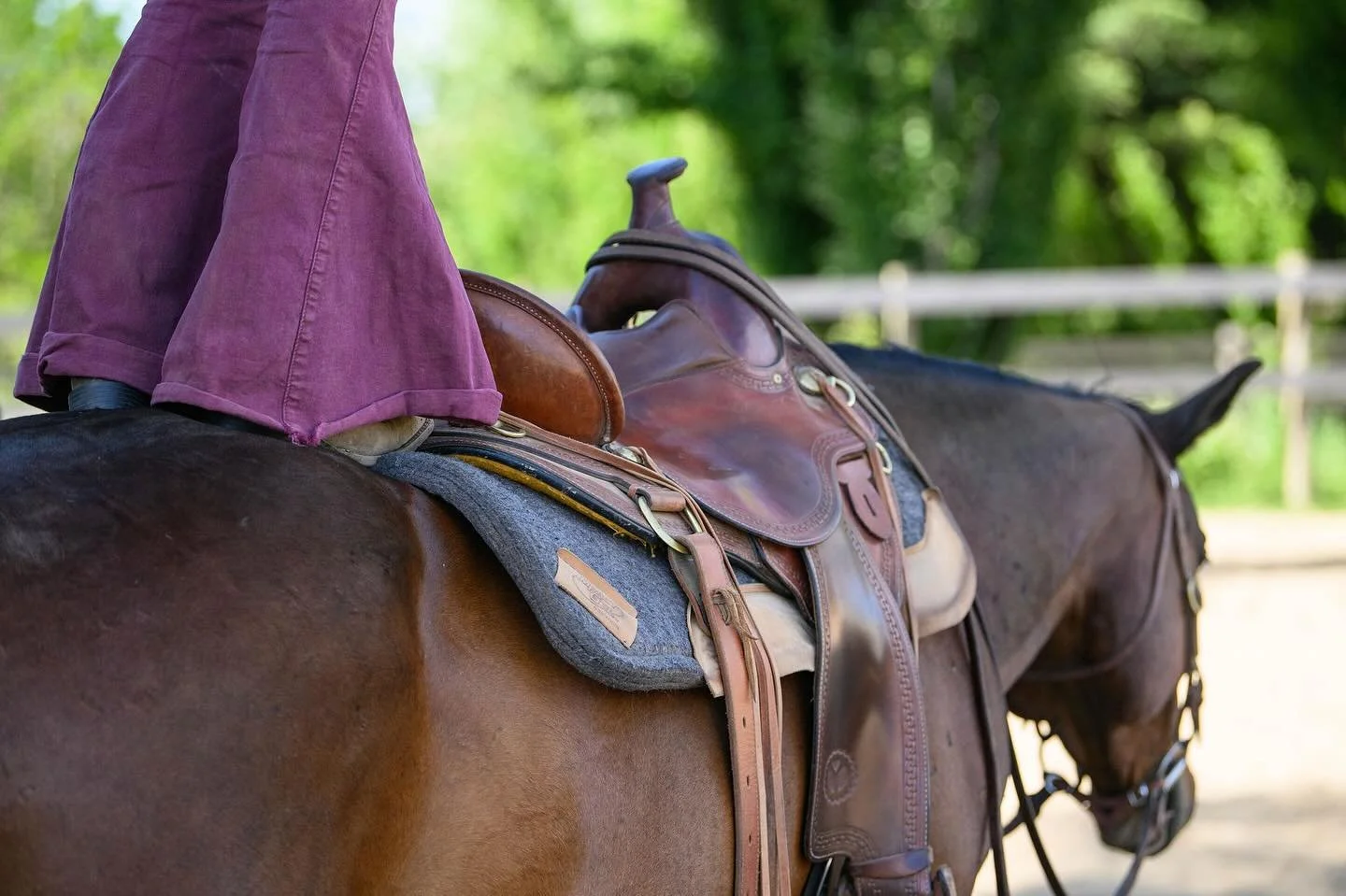 &ldquo;bell bottoms and a  bay, who could ask for more?&rdquo;
.
.
#horselover #horsepower #equestrainlife #equinepartnership #bellbottoms #bayhorses #cowgirls