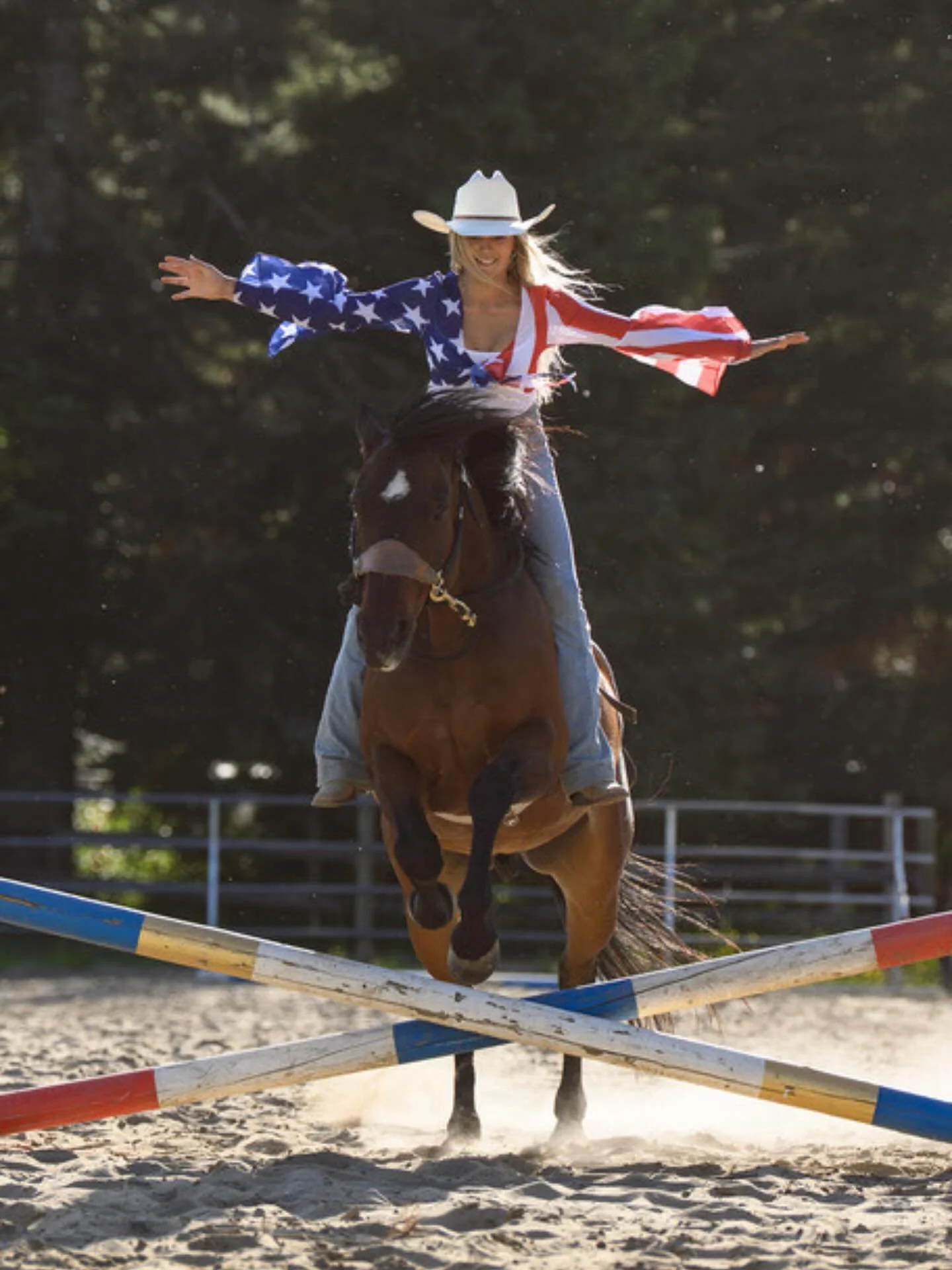 Happy Veterans Day!! 🇺🇸
Thank you for your service! 
.
.
📸 @fivemegawatts 
#happyveteransday🇺🇸❤️💙 #horses #libertyhorses #america #horselover #horserider #equestrainlife