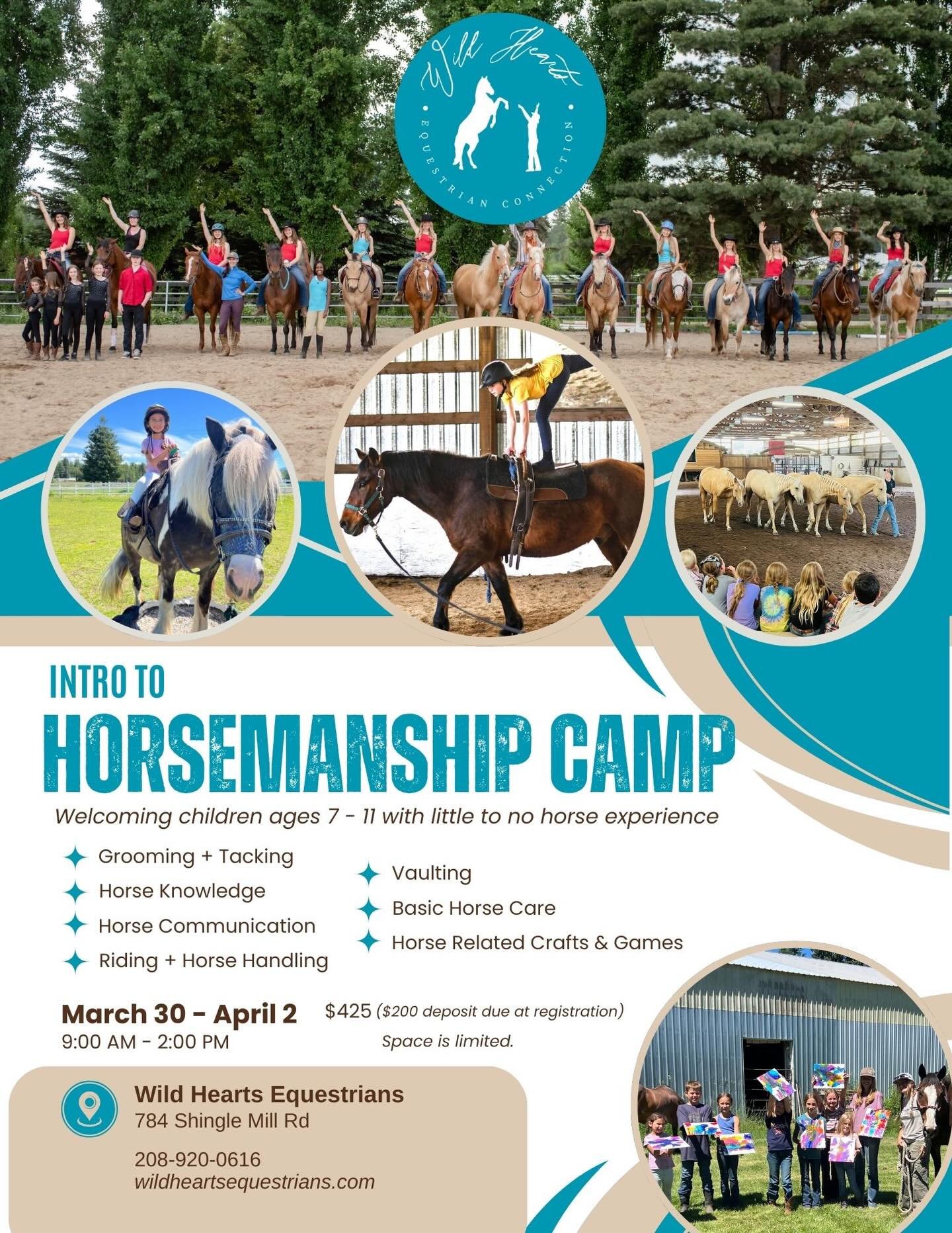 Who wants to join our spring horse camp?!! 🐴🐎
.
.
.
#horses #horsecamp #horseofinstagram #barnlife #equinepartnership