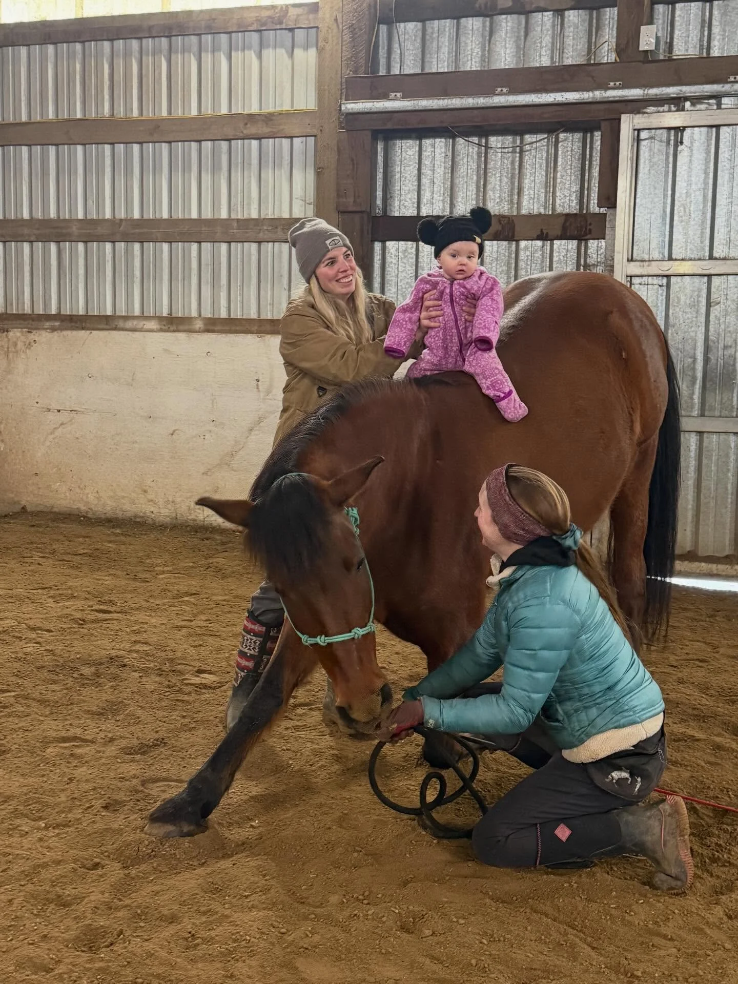 🐉 @marengothedragonhorse is helping Millie start her truck training! 💕
.
.
.
#libertyhorse #horsegirl #horsetraining #equinepartnership #baygirl