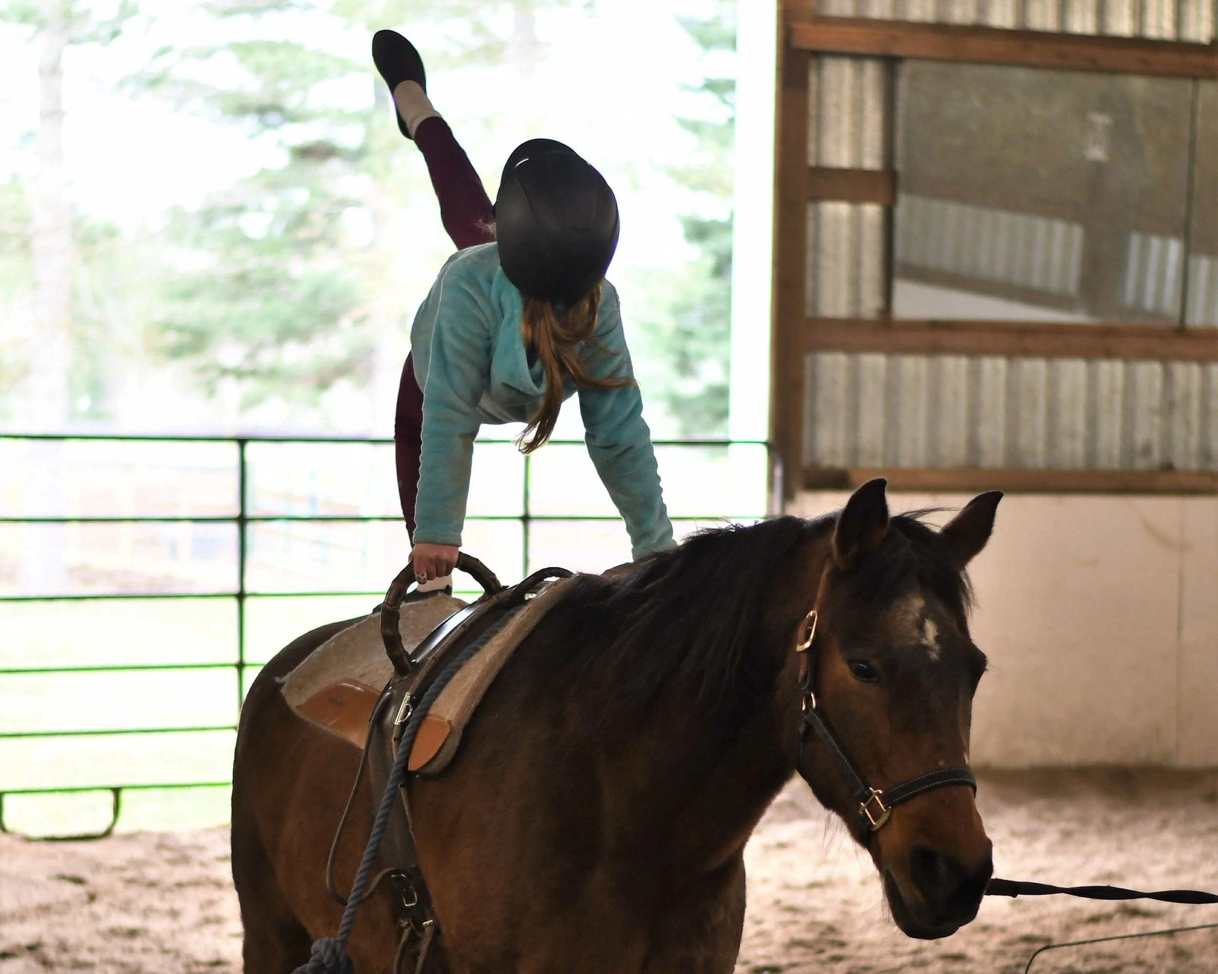 Horseback Riding Lessons in Sandpoint — Wild Hearts Equestrians