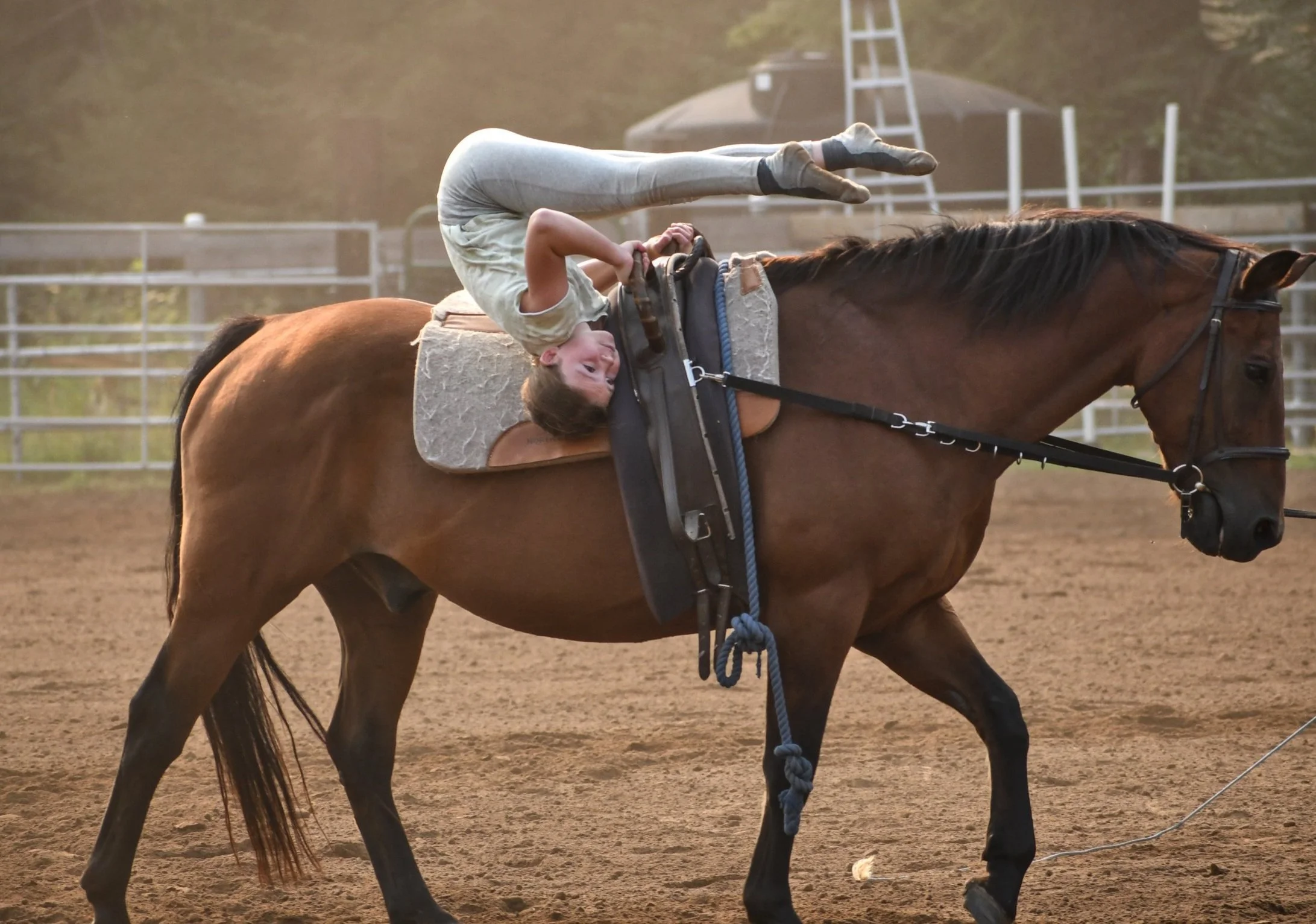 Horseback Riding Lessons in Sandpoint — Wild Hearts Equestrians