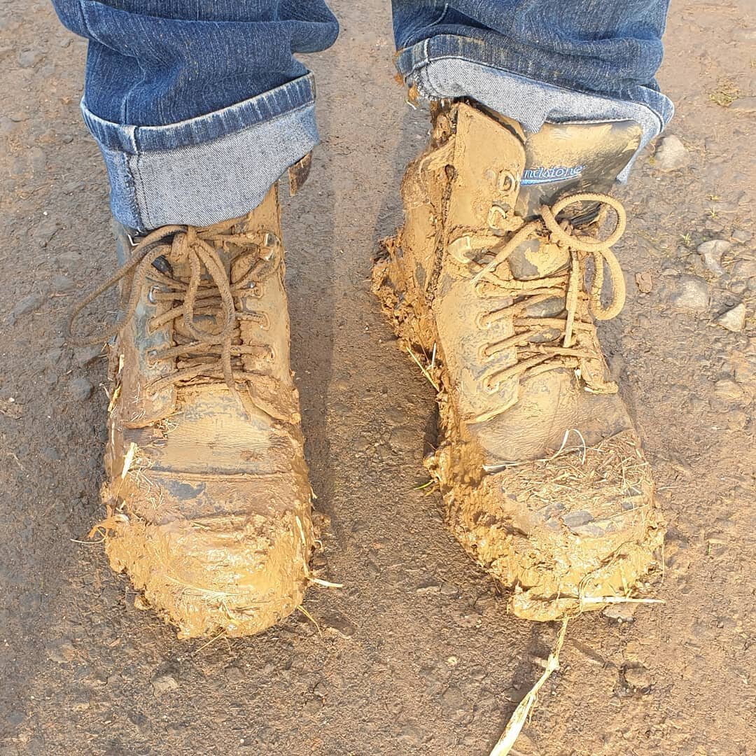 Another day as a farmer after a week of rain 🤎

Chores getting done and farm and Grazings opens at 10am. 

(gumboots optional - this mess only occurs behind the scenes) 😆