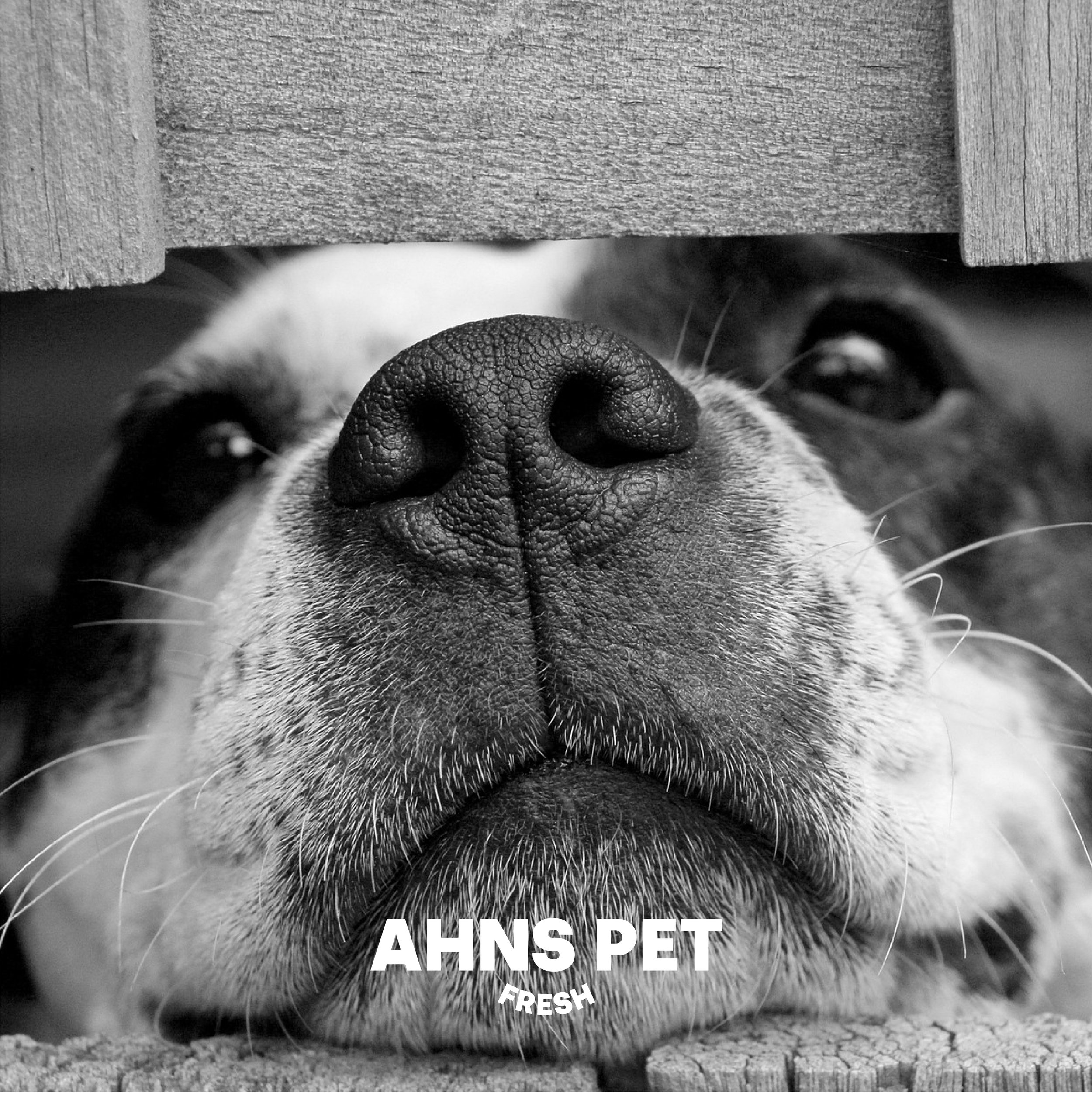 AhnsPetFresh-Instagram-Week14-13.jpg
