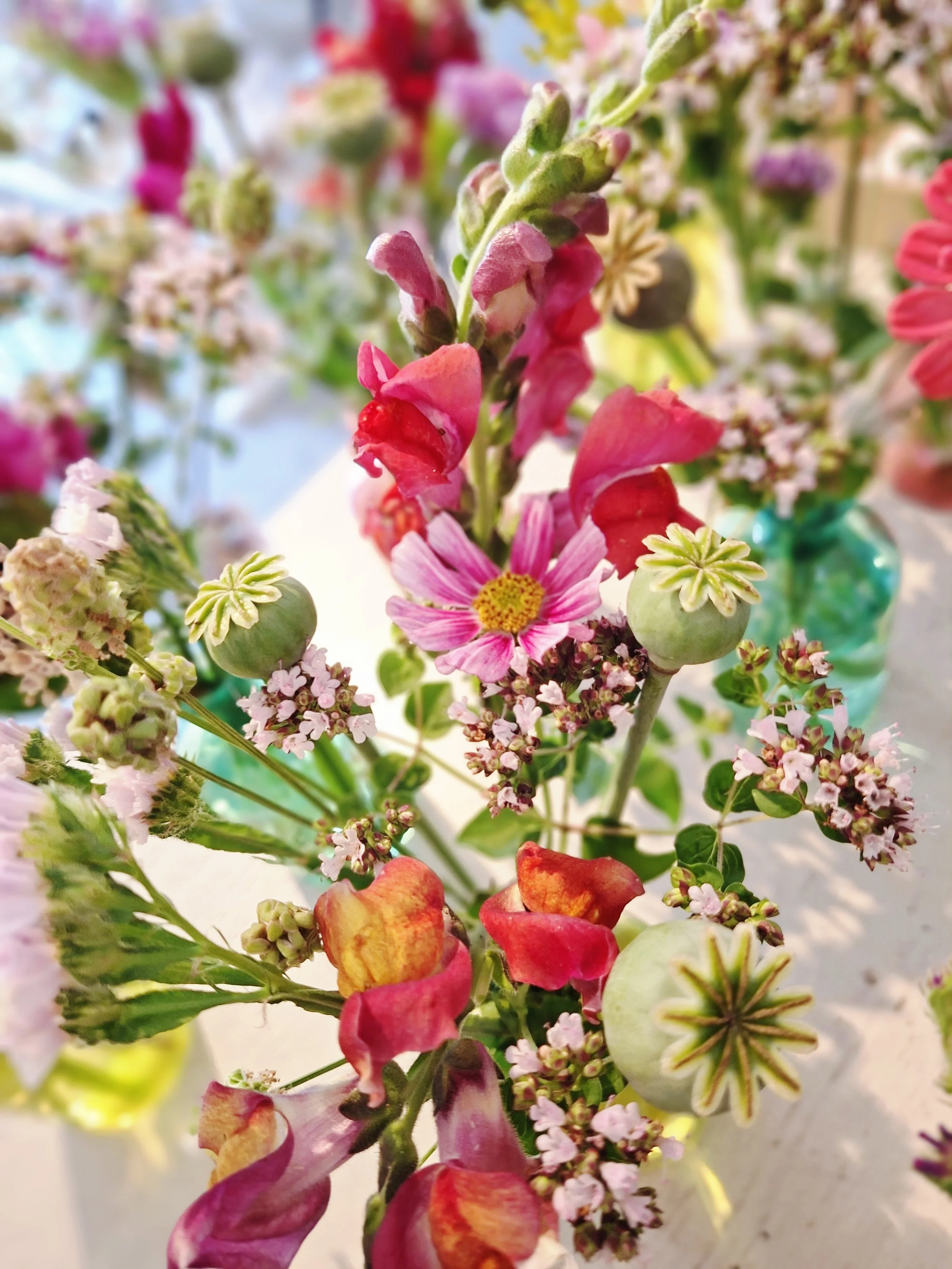 blumen.jpg