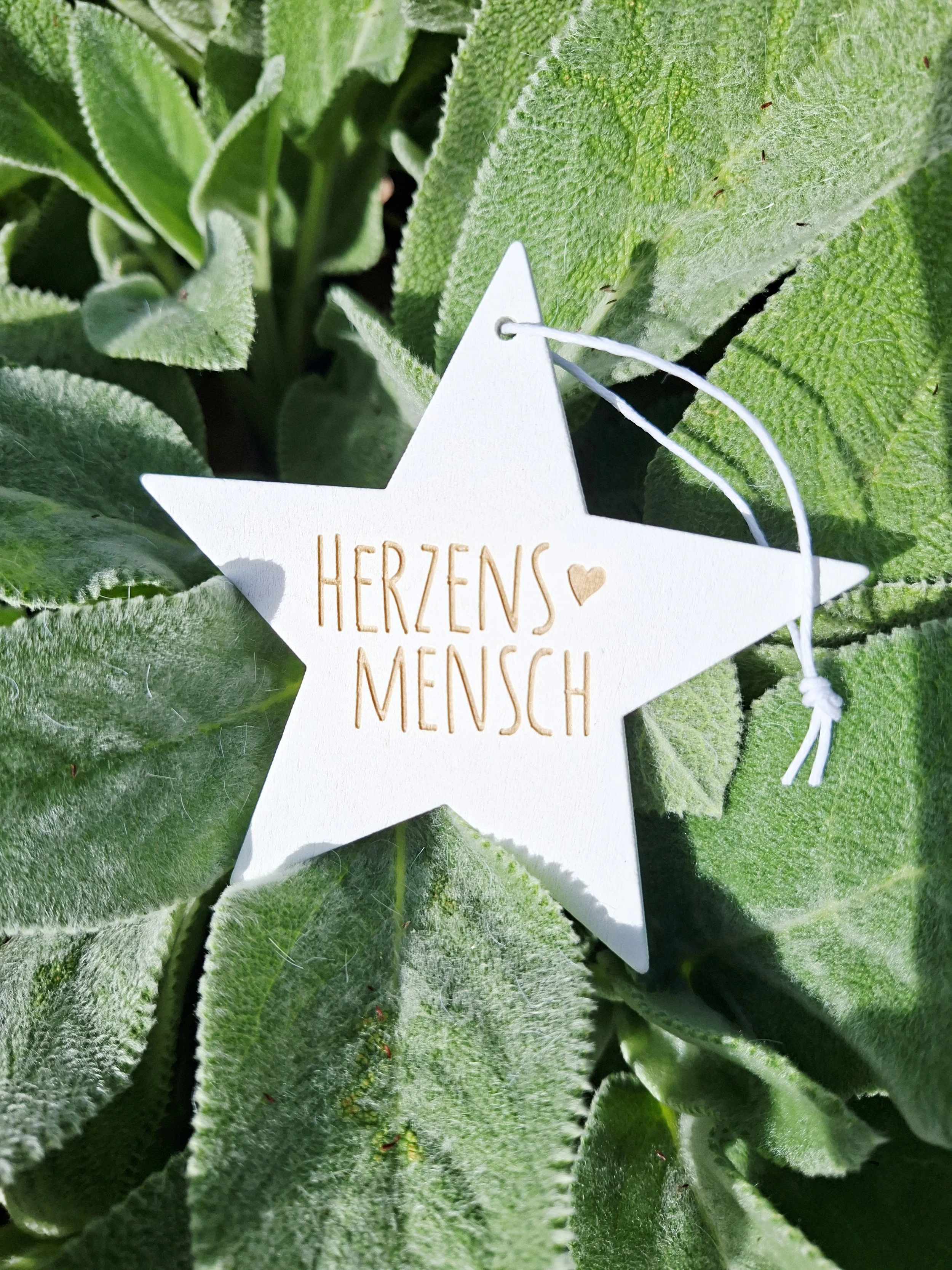 Sternhänger 'Herzensmensch'