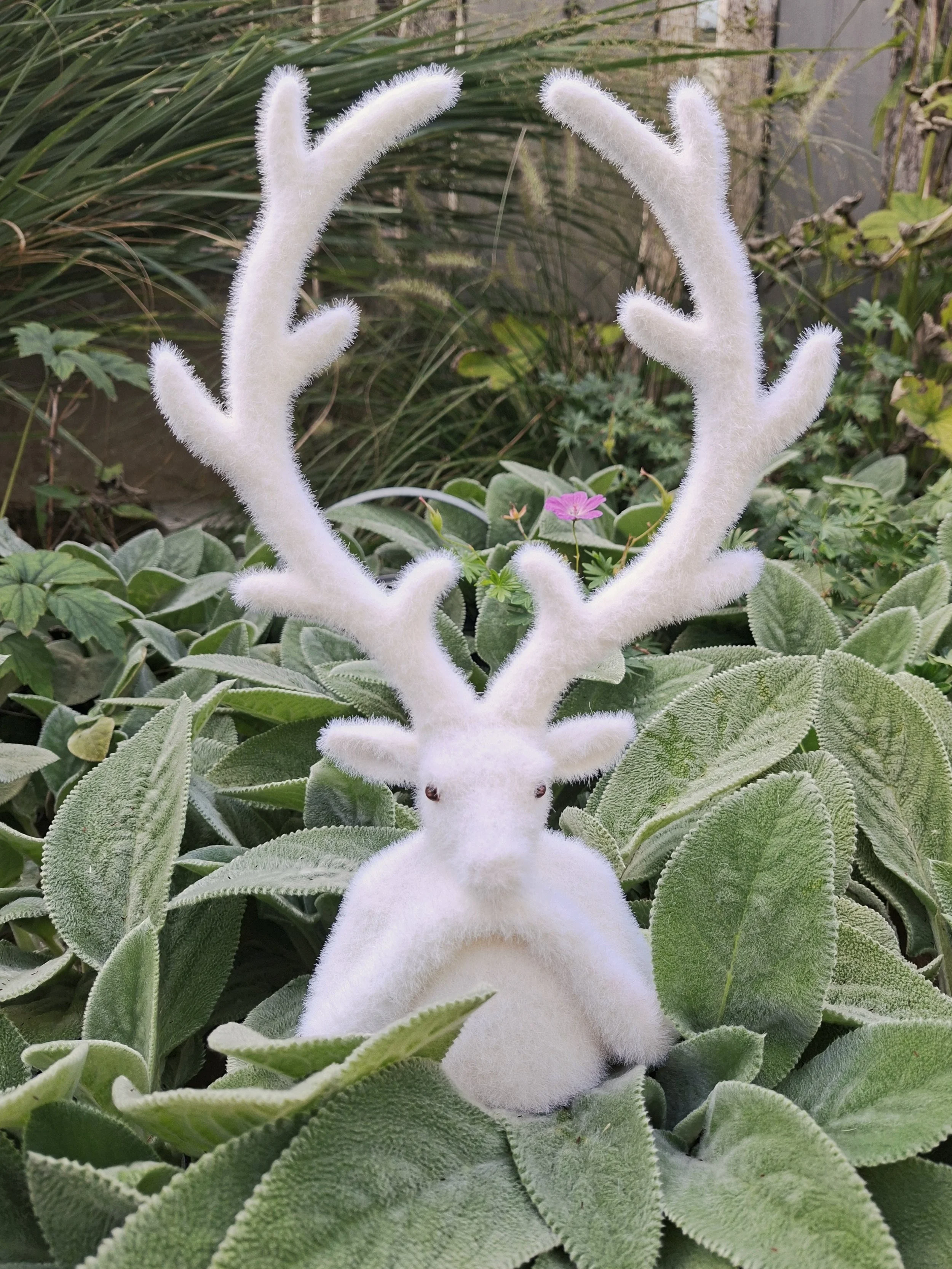 Weißer Hirsch "Winni"