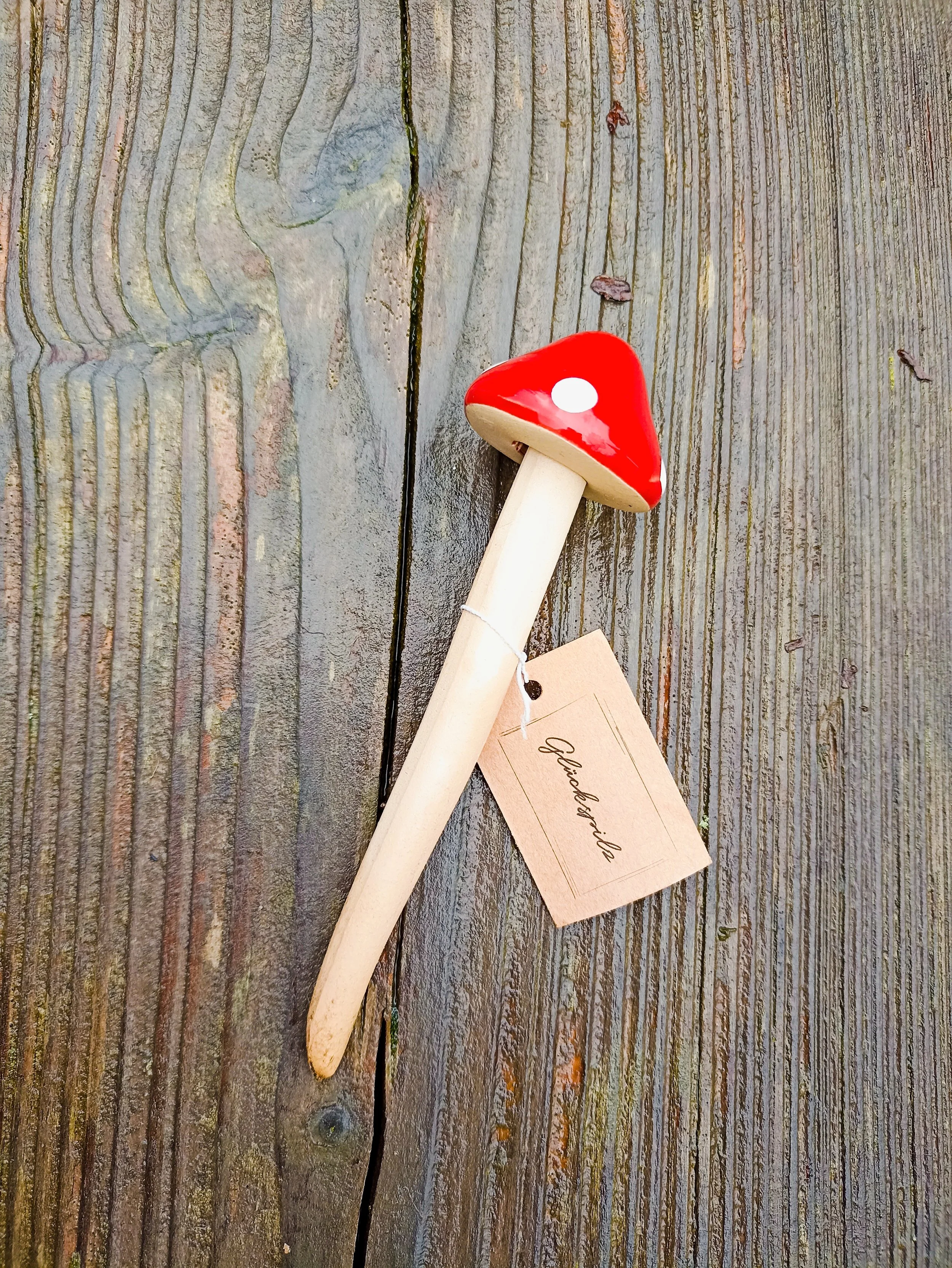 pilz III.jpg