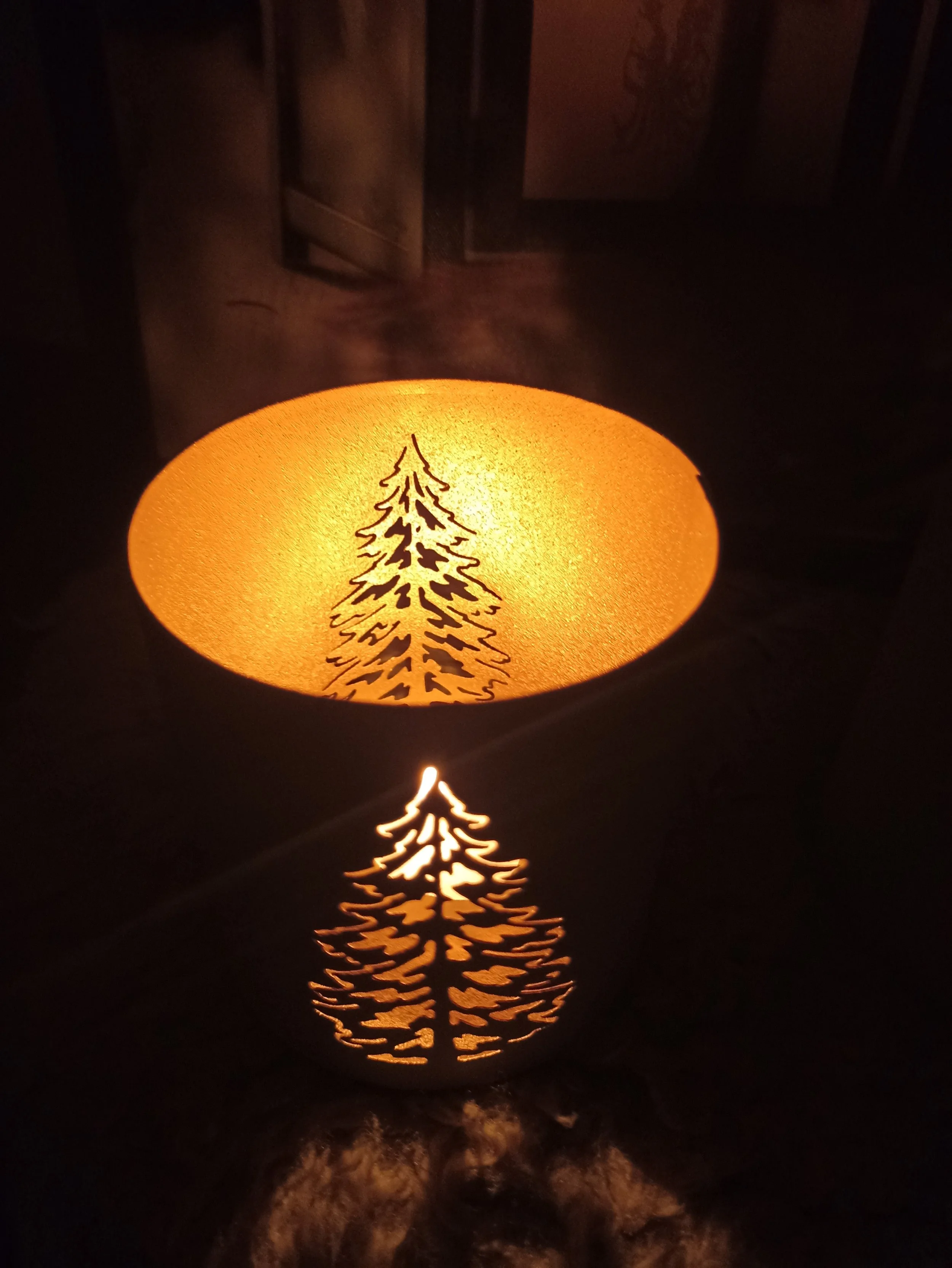 tanne dunkel III.jpg