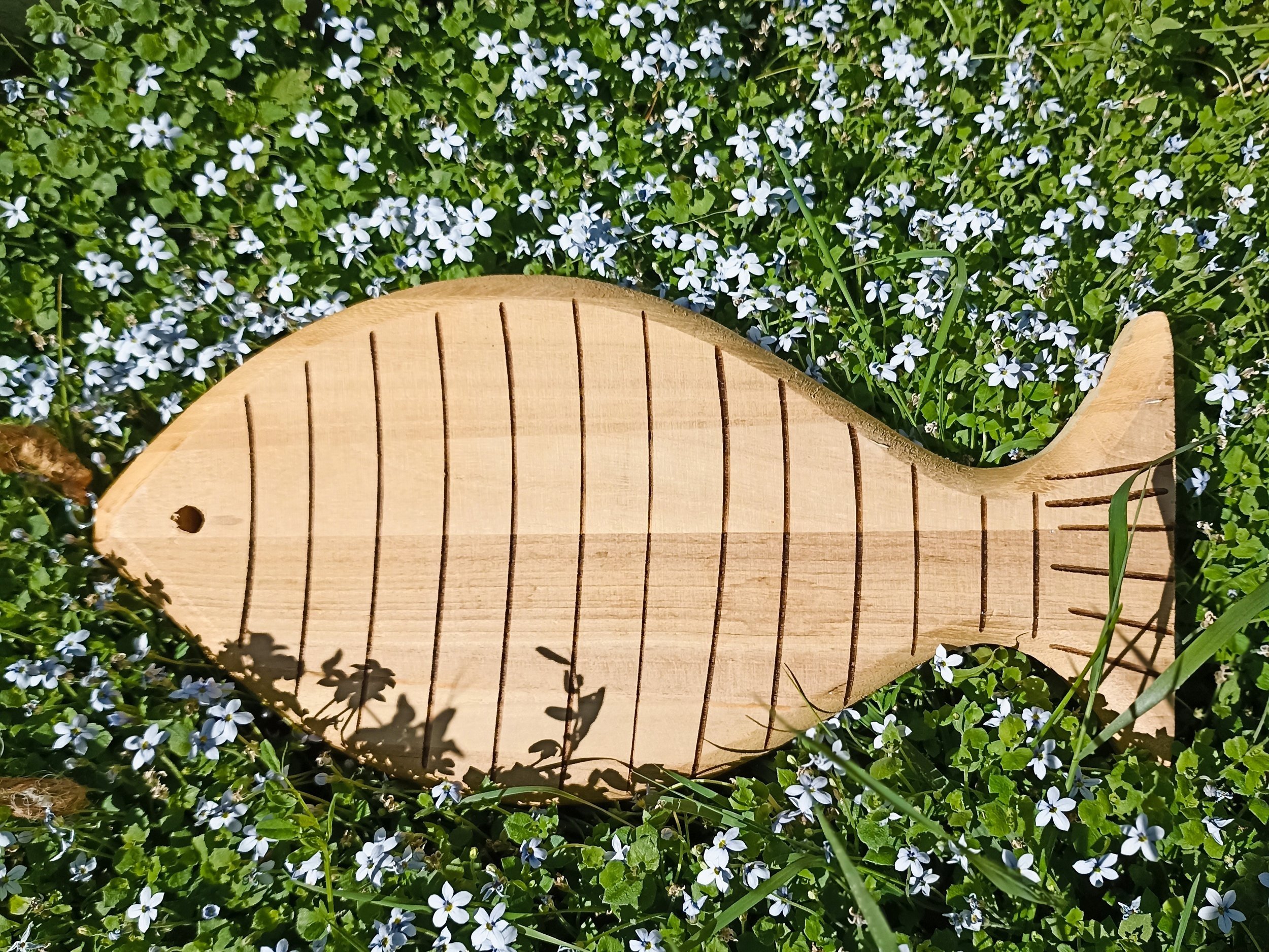 fisch.jpg