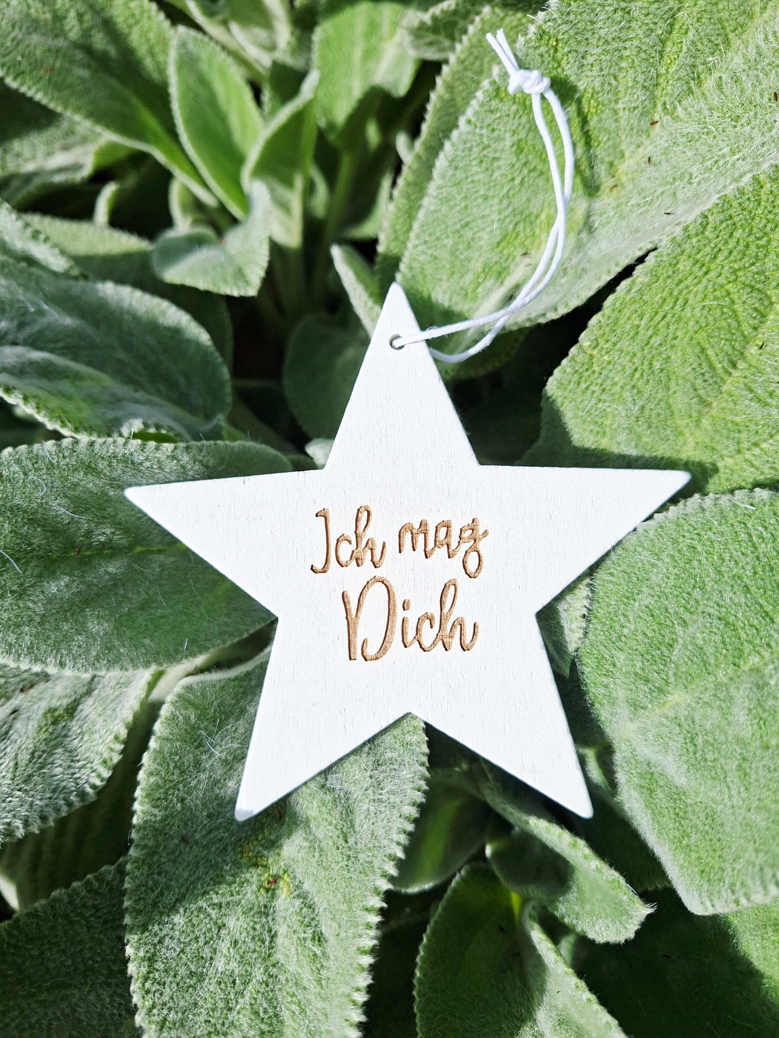 Sternhänger ‚Ich mag Dich‘