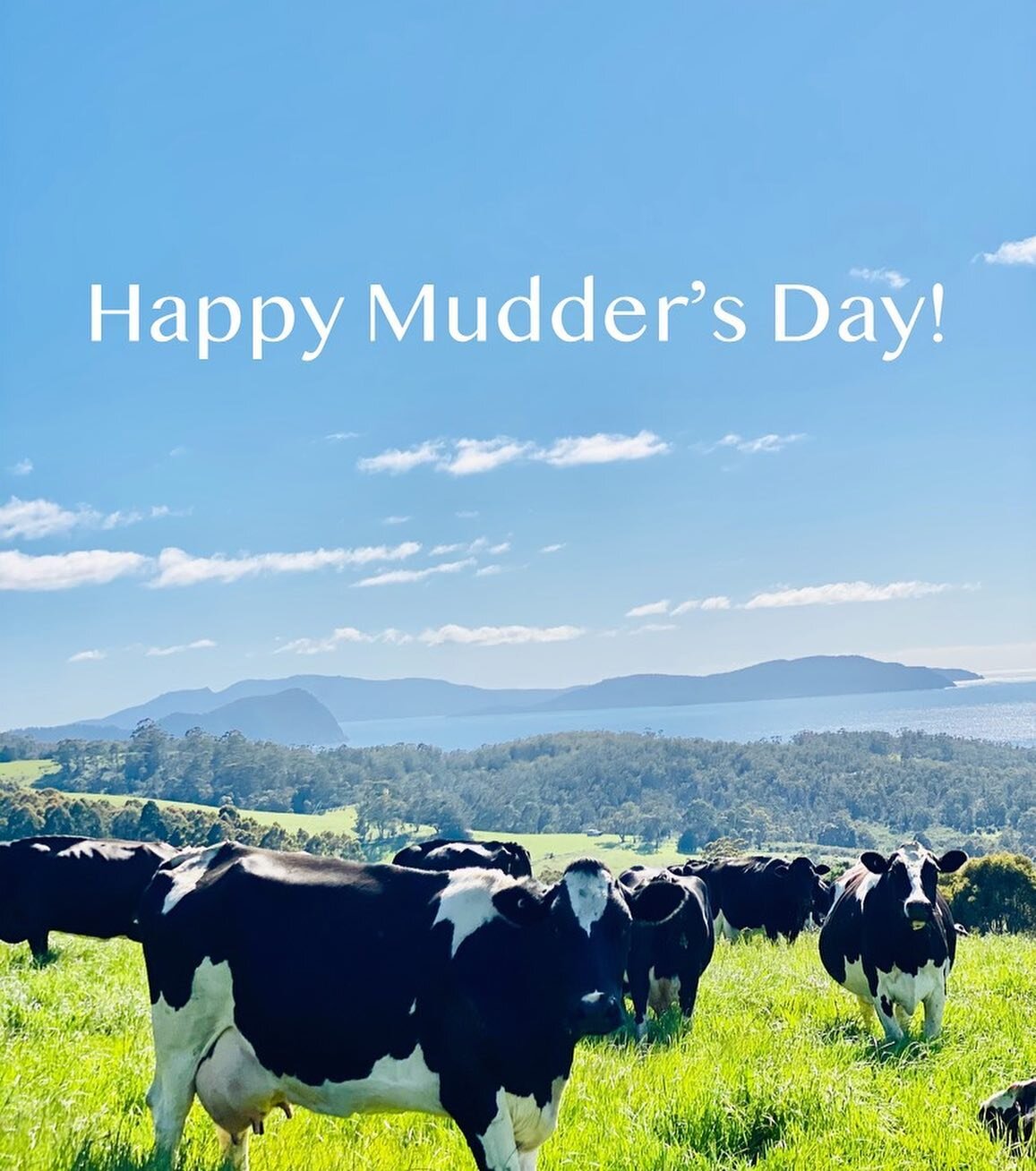 *Mudder&rsquo;s Day Hamper* 🐄 

This Sunday we celebrate all the amazing mothers out there. What better way to show your appreciation for Mum than by gifting her a Bream Creek Dairy &lsquo;Mudder&rsquo;s Day Hamper&rsquo;?!

Priced at $109.00 and in