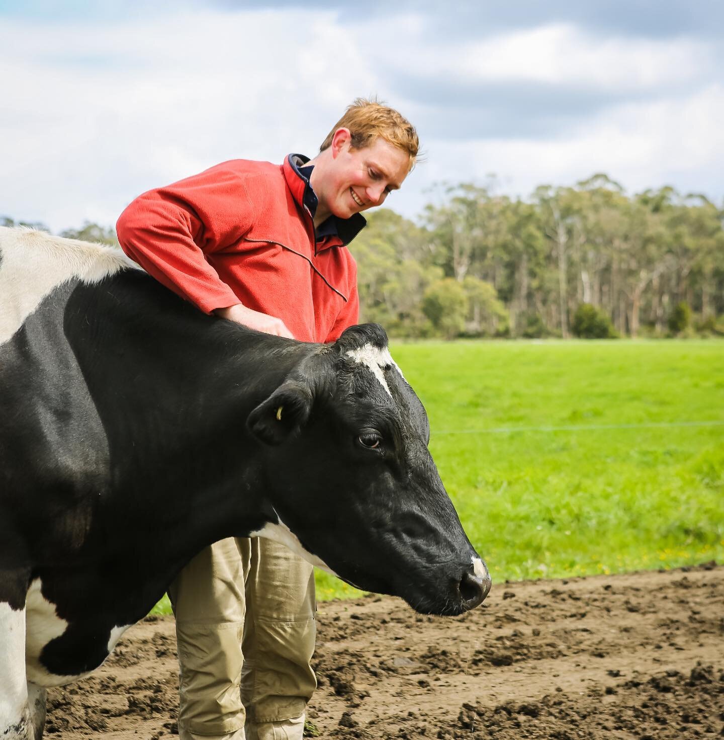 *The Bream Creek Dairy Dream Team Secures Prize for Tasmania&rsquo;s Best Milk*
&nbsp;
At last week&rsquo;s Royal Tasmania Fine Food Awards, competing against milk producers from across the state, Bream Creek Dairy&rsquo;s full cream milk took out th