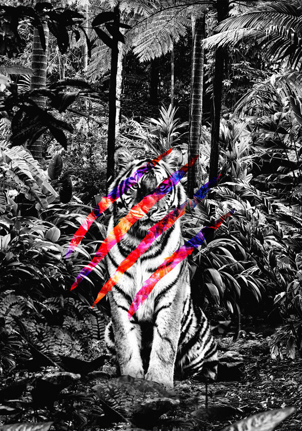 TheInstinct.jpg