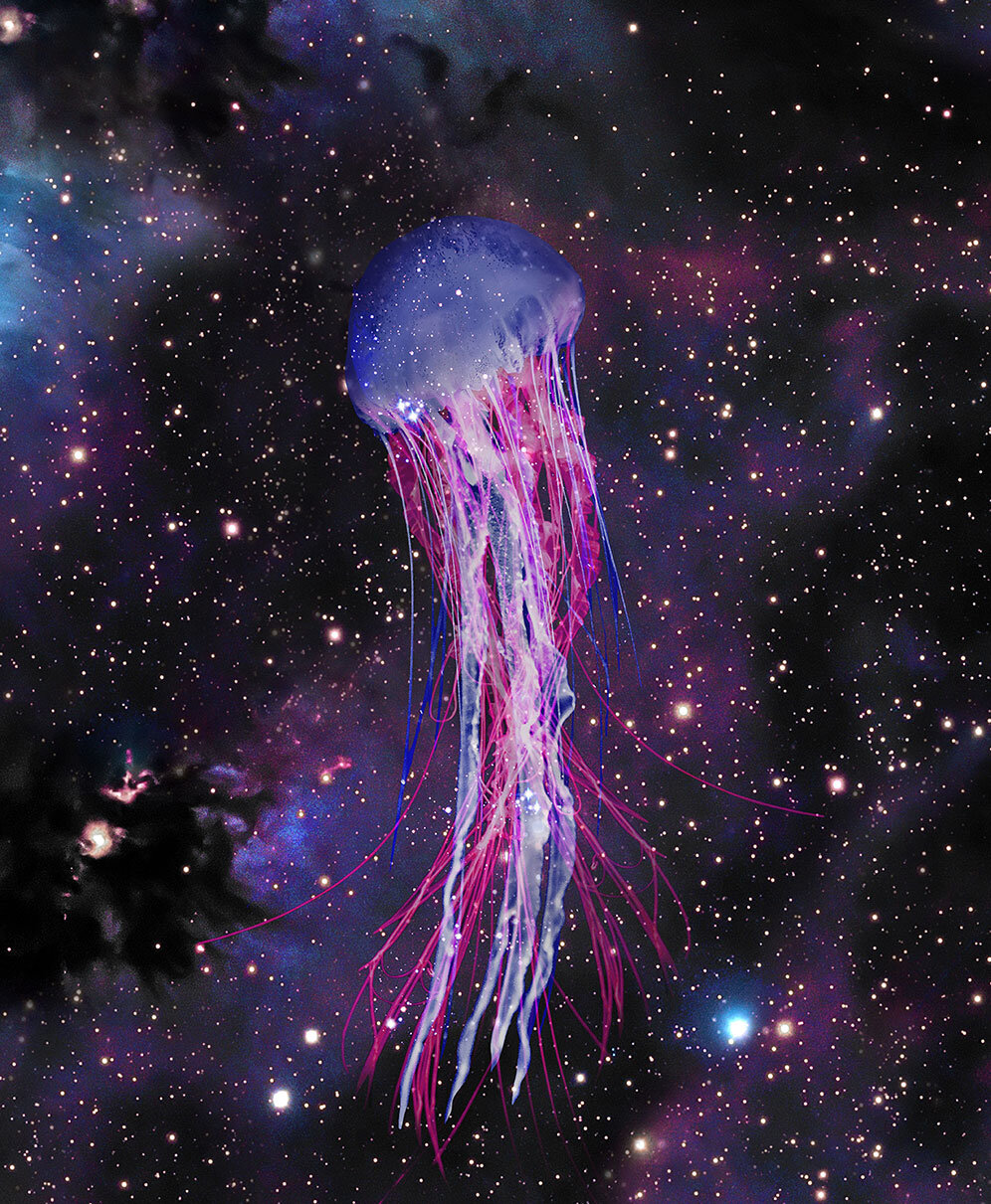 FinalJelly.jpg