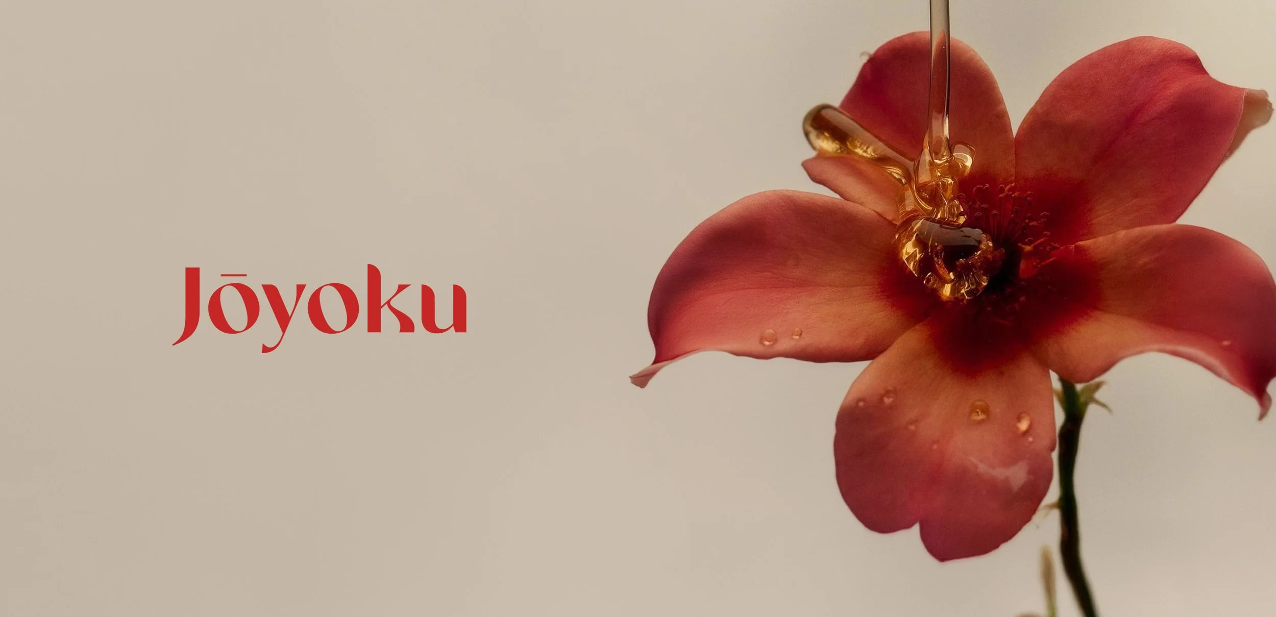 joyoku.jpg