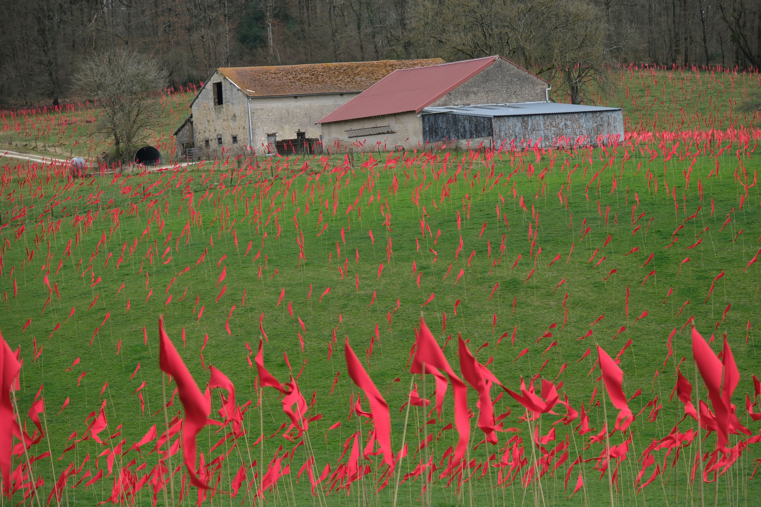 2025 Romagne Flags for Peace maart 76_1.jpg