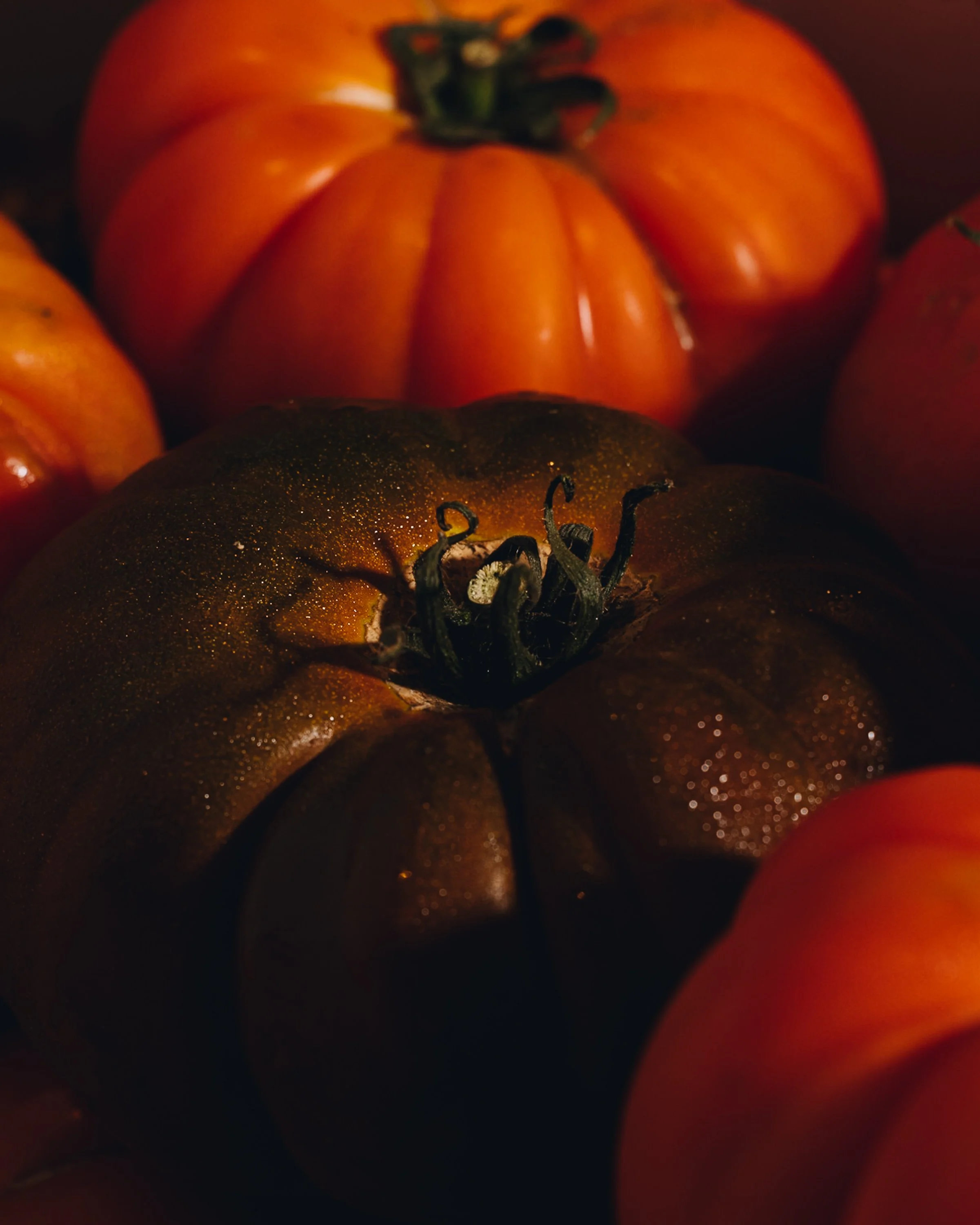 _T5A7257.jpg