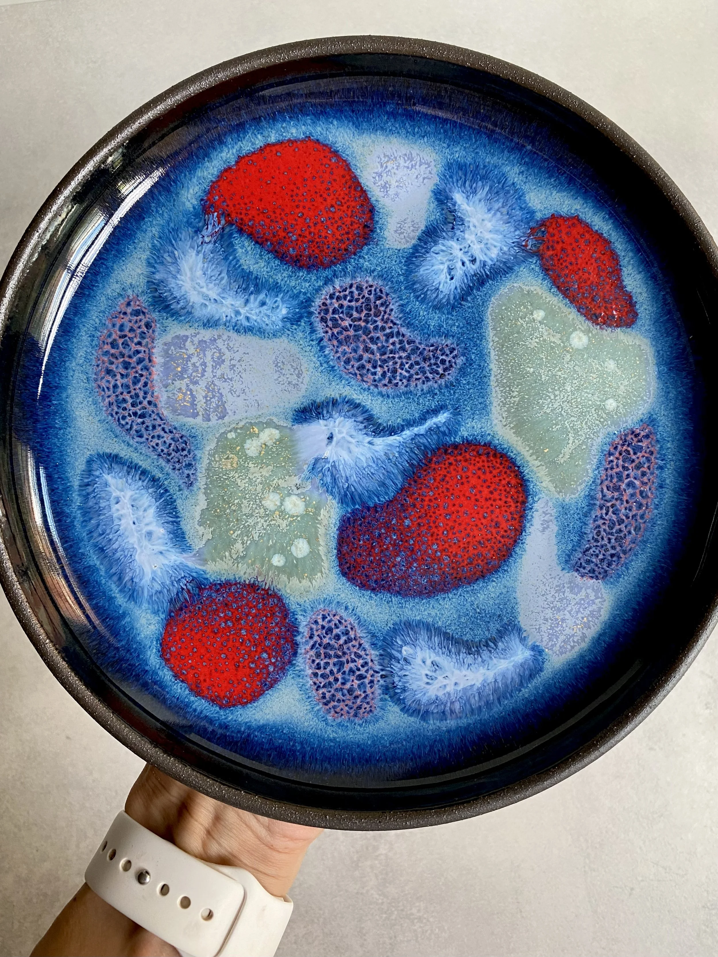 Petri Dish Origin Plate 21 cm